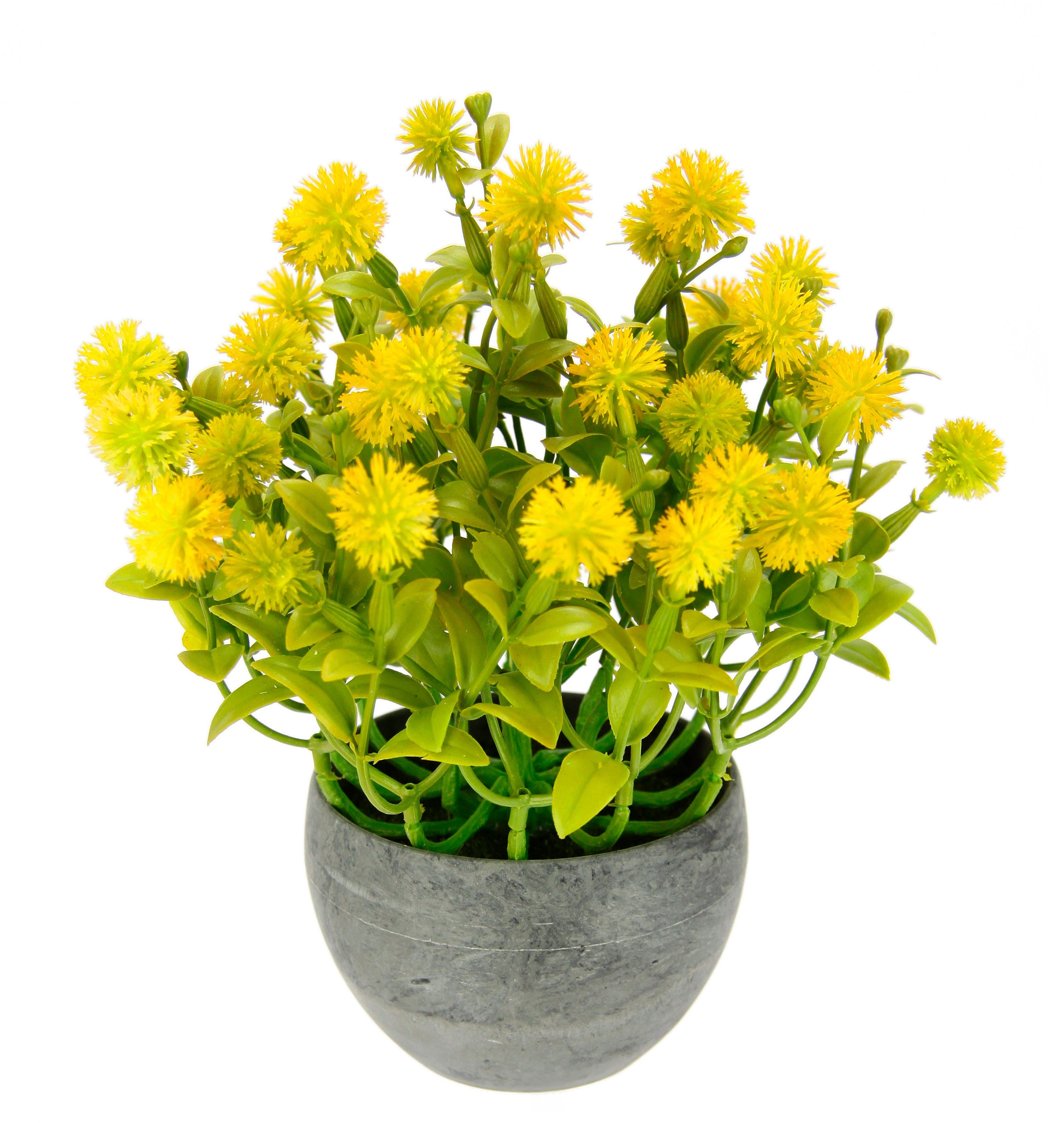 I.GE.A. Kunstplant Margriet in pot Kunstmatige bloemen, bloesemstruik, struik, tafeldecoratie, plant, kunstbloemen, decoratie (1 stuk) kunstplanten