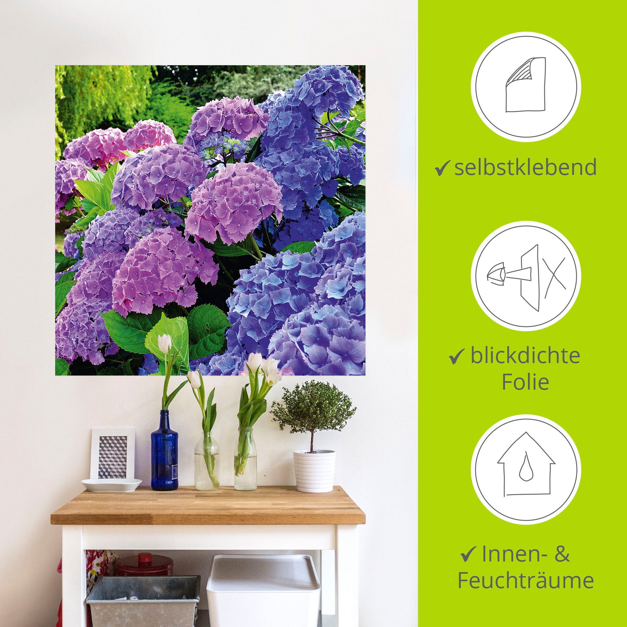 Artland Artprint Hortensia's in de tuin als artprint van aluminium, artprint voor buiten, artprint op linnen, poster, muursticker