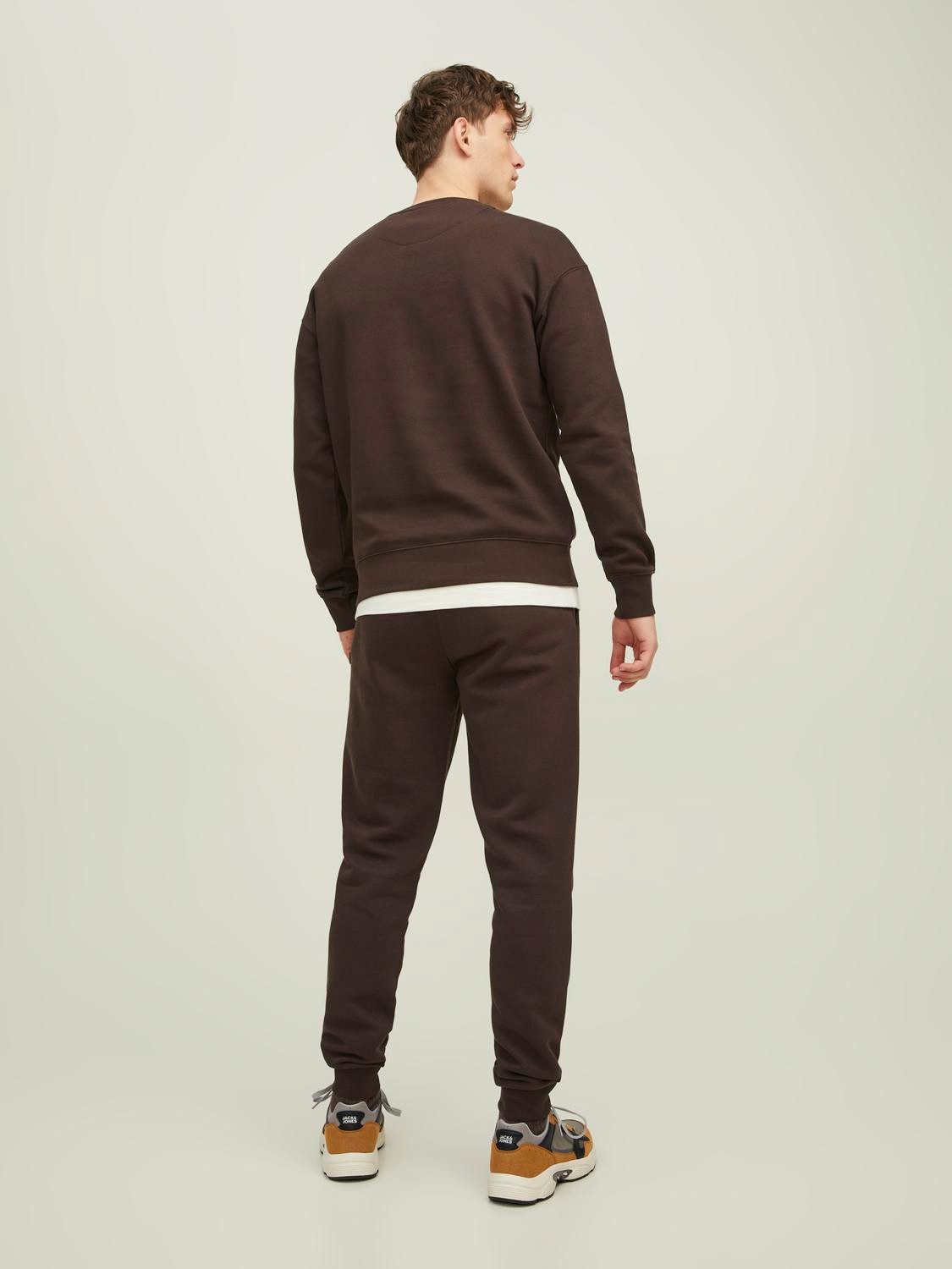 Jack & Jones Sweatshirt JJESTAR BASIC SWEAT CREW NECK NOOS