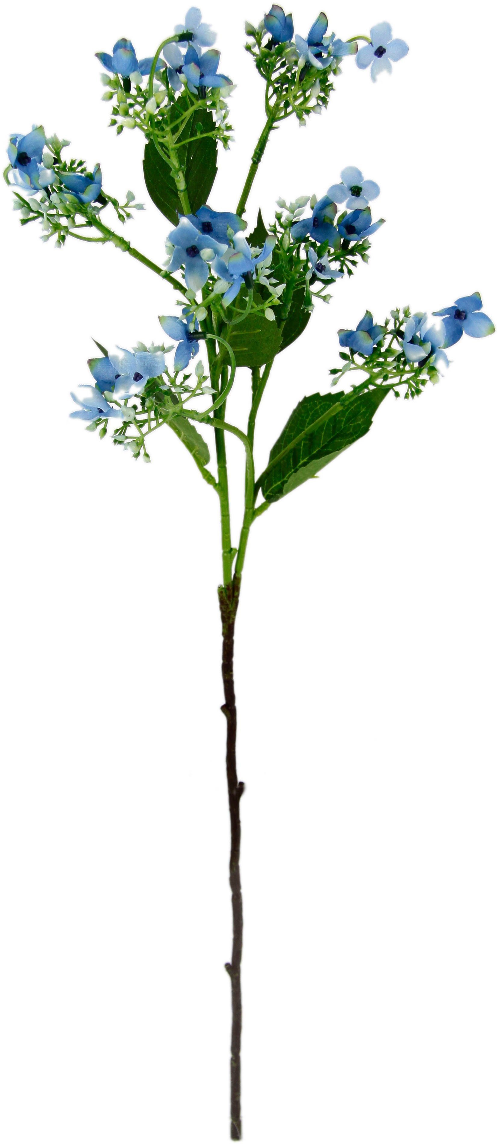I.GE.A. Kunstbloem Bloementak set van 5 kunsttak, kunstplant, deco-tak (5 stuks)