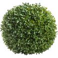 botanic-haus kunstboom buxusbol (1 stuk) groen