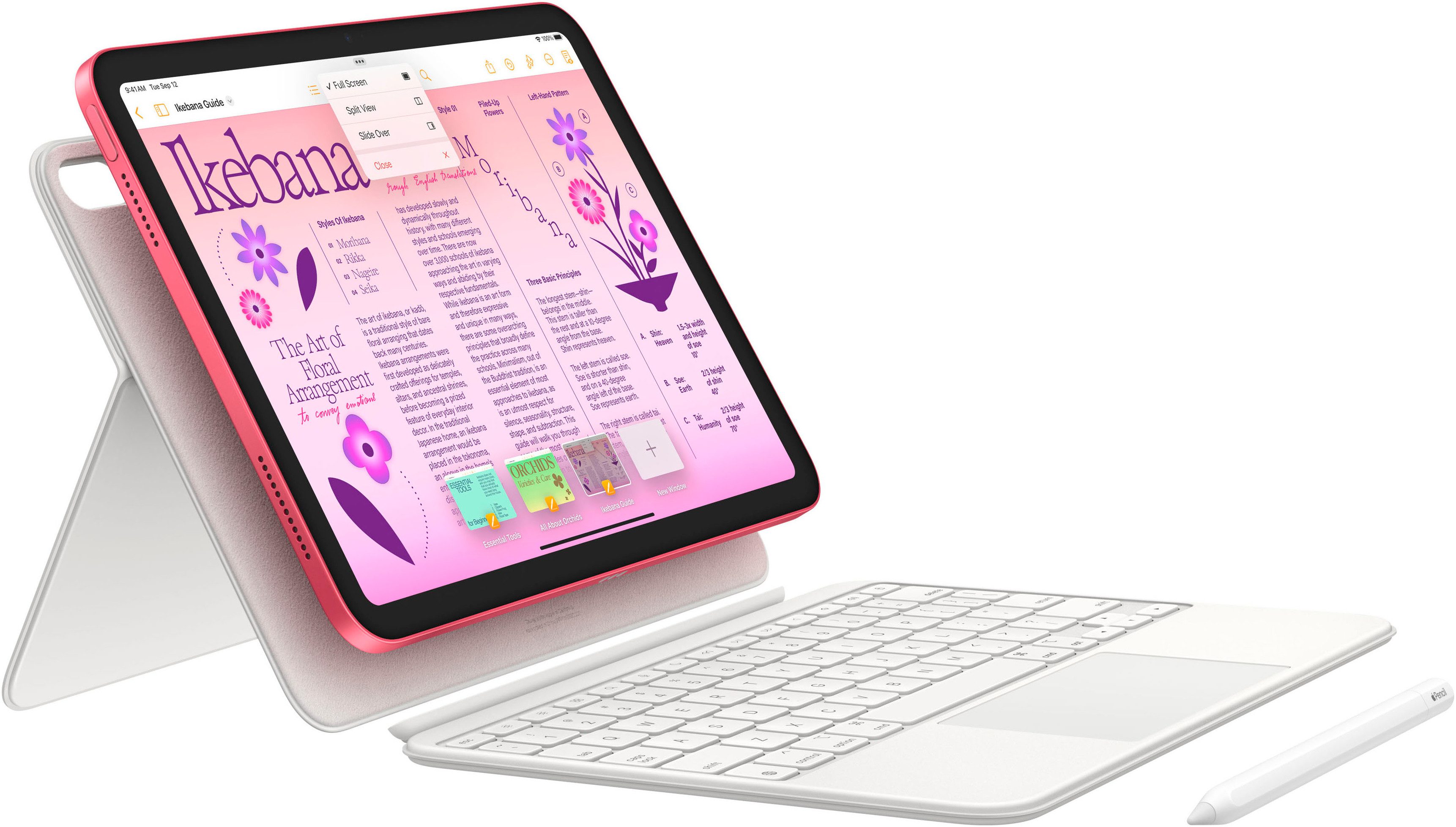 Apple Tablet 10,9" iPad Wi-Fi 256GB 10th. Generation, 10.9 ", iPadOS