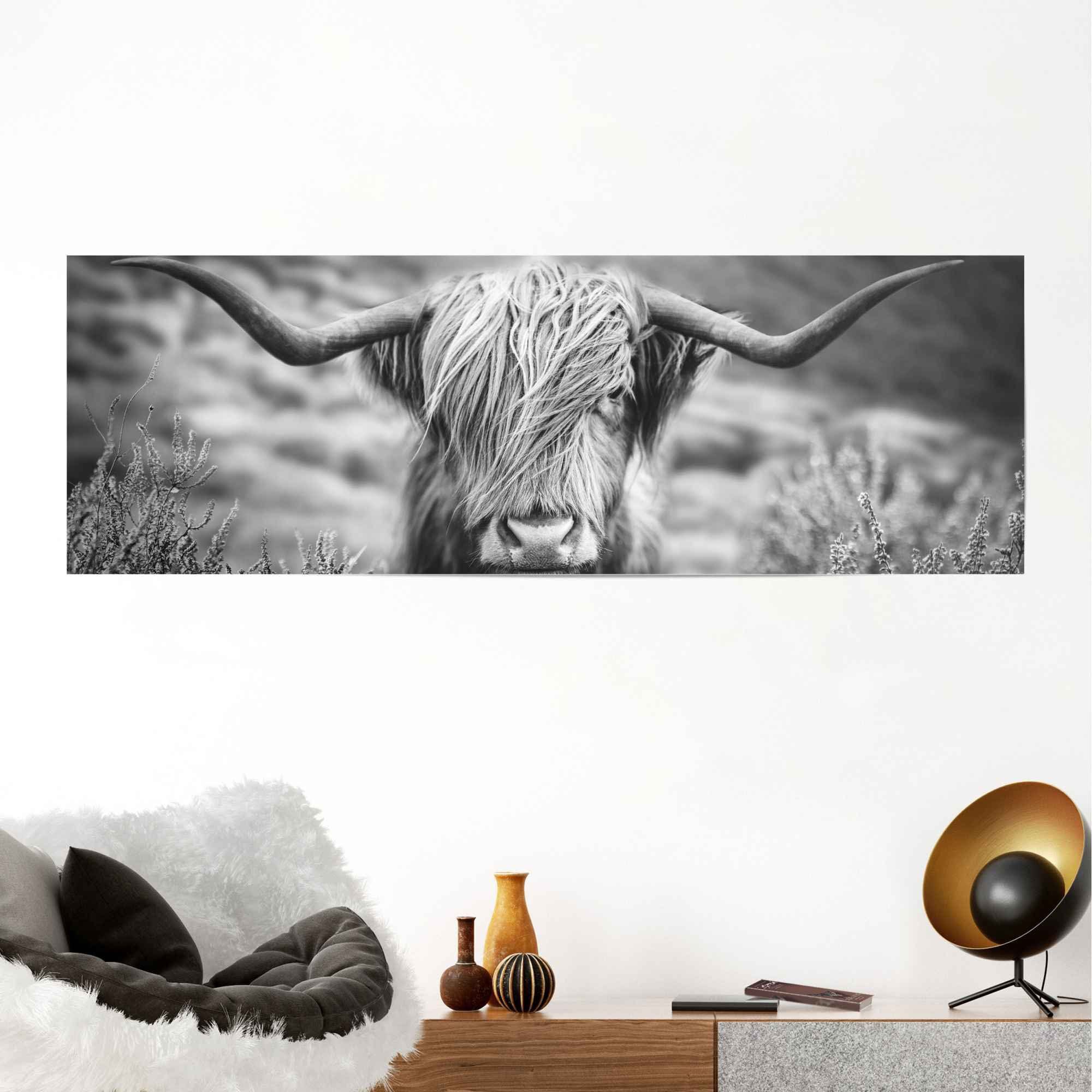 Reinders! Poster Highlander stier diermotief - close-up - Schotse hooglander beeld
