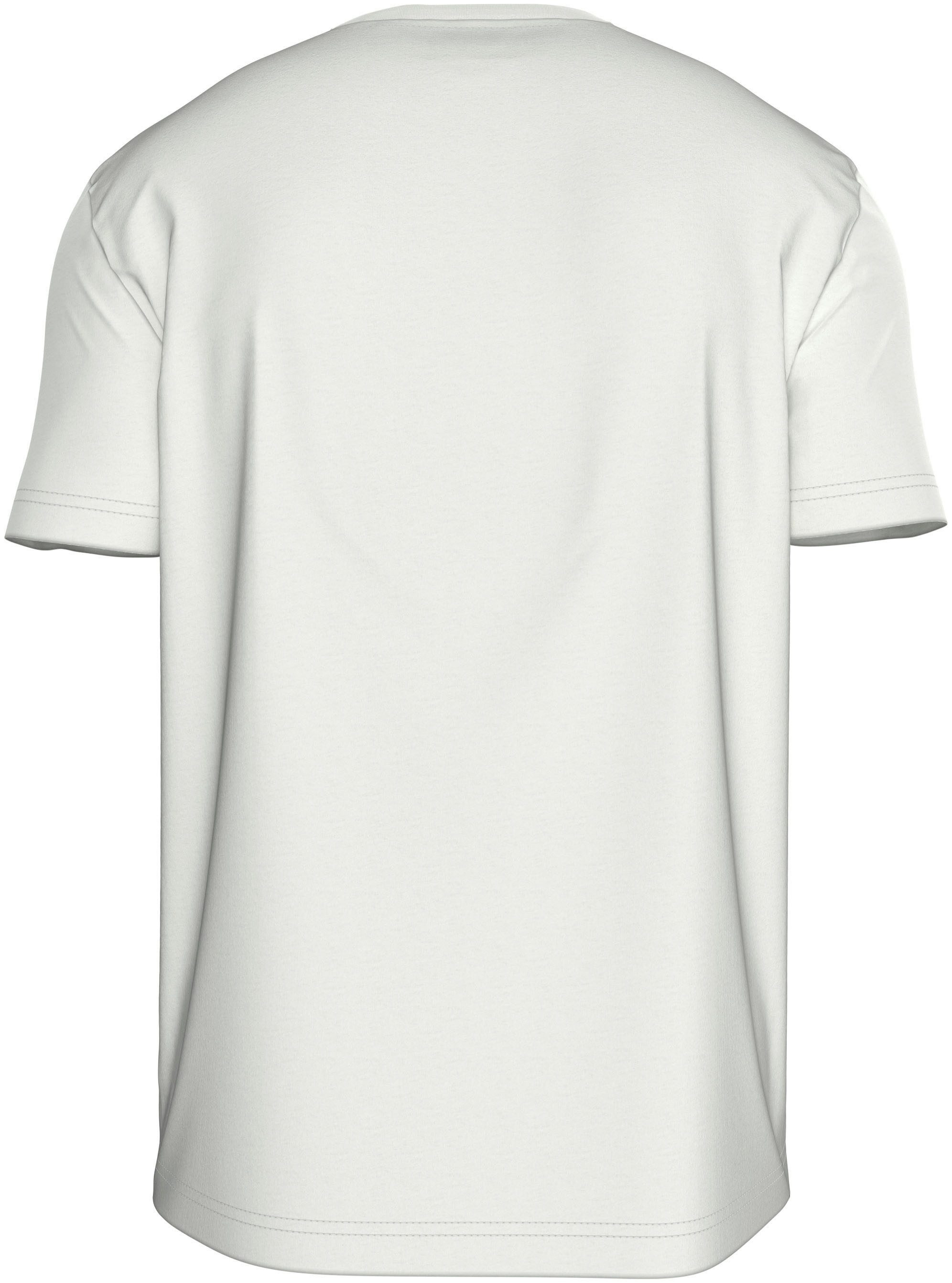 Calvin Klein T-shirt BT-BOX STRIPED LOGO T-SHIRT in grote maten met logo-opschrift