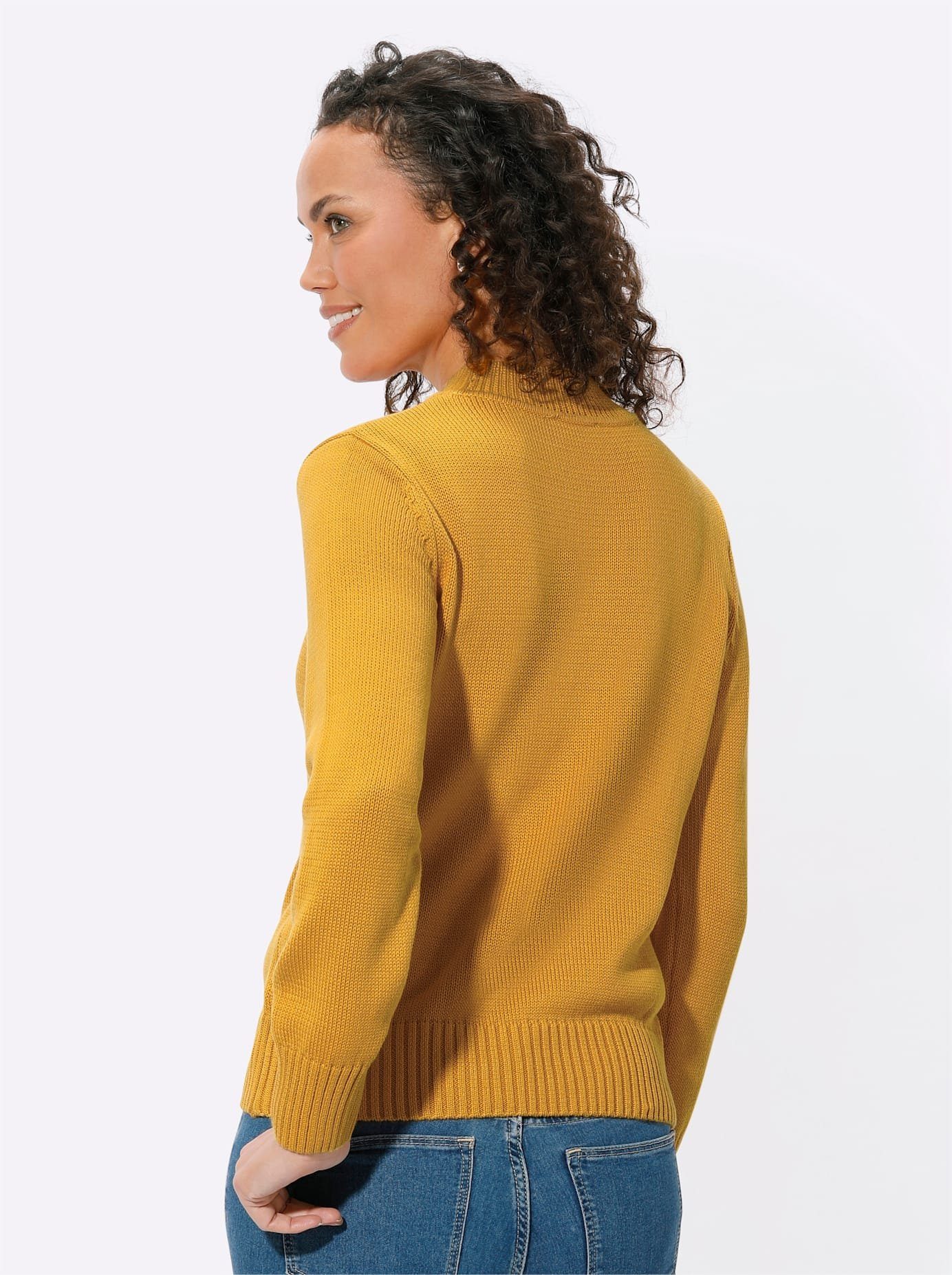 Casual Looks Trui met staande kraag Trui