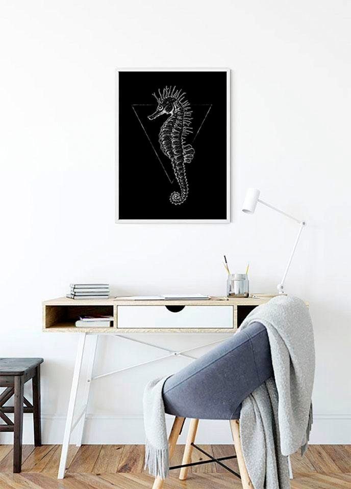 Komar XXL poster Sea Horse Black