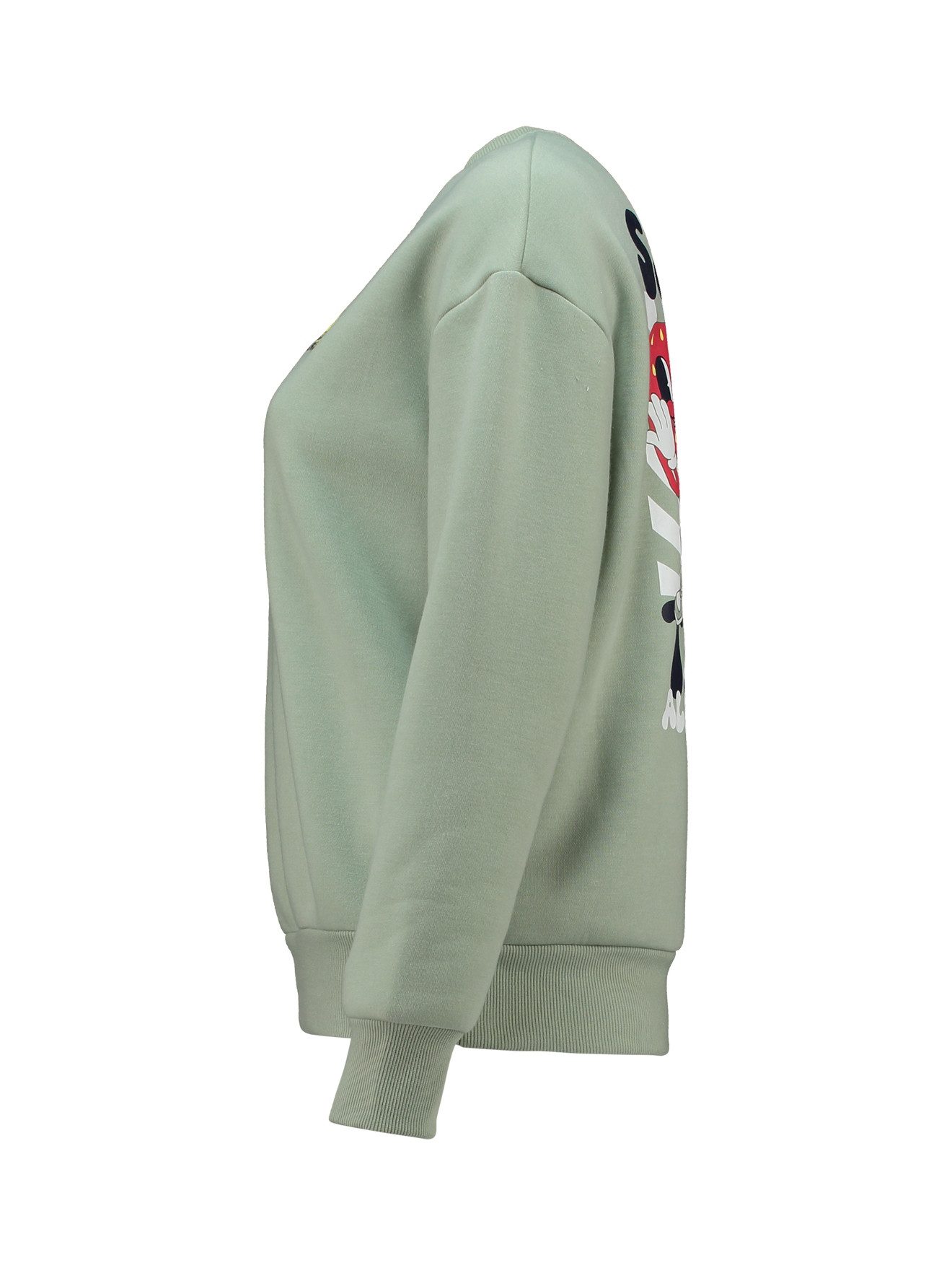 HaILYS Sweatshirt LS C SW Mi44lou