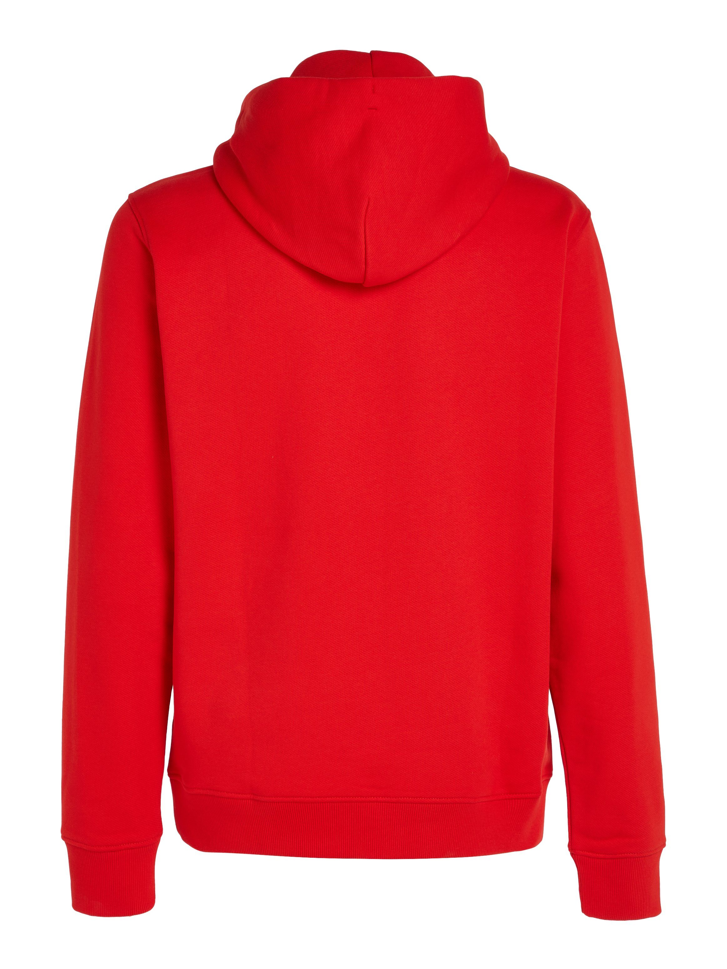 TOMMY JEANS Hoodie TJM REG BADGE HOODIE EXT