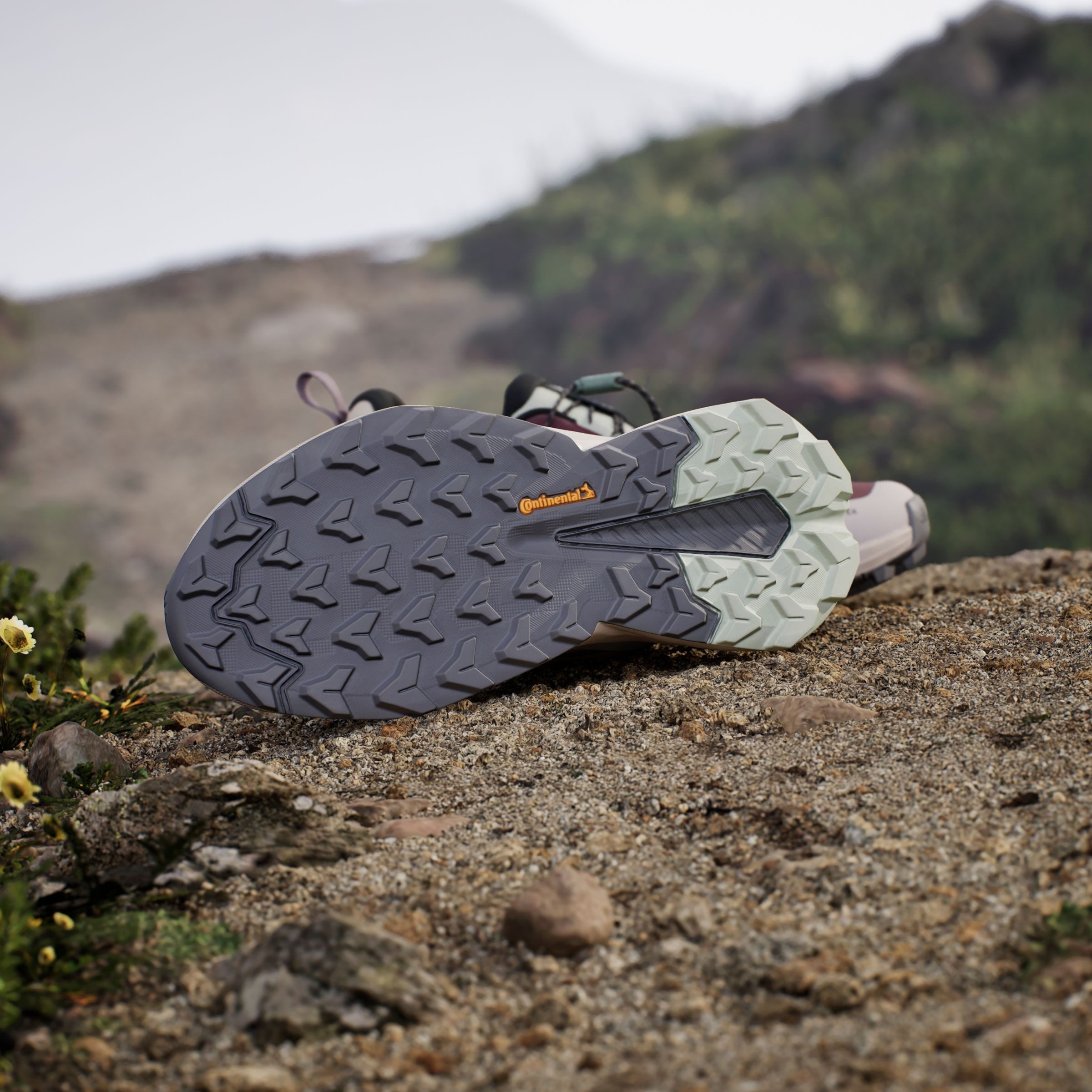 adidas TERREX Wandelschoenen