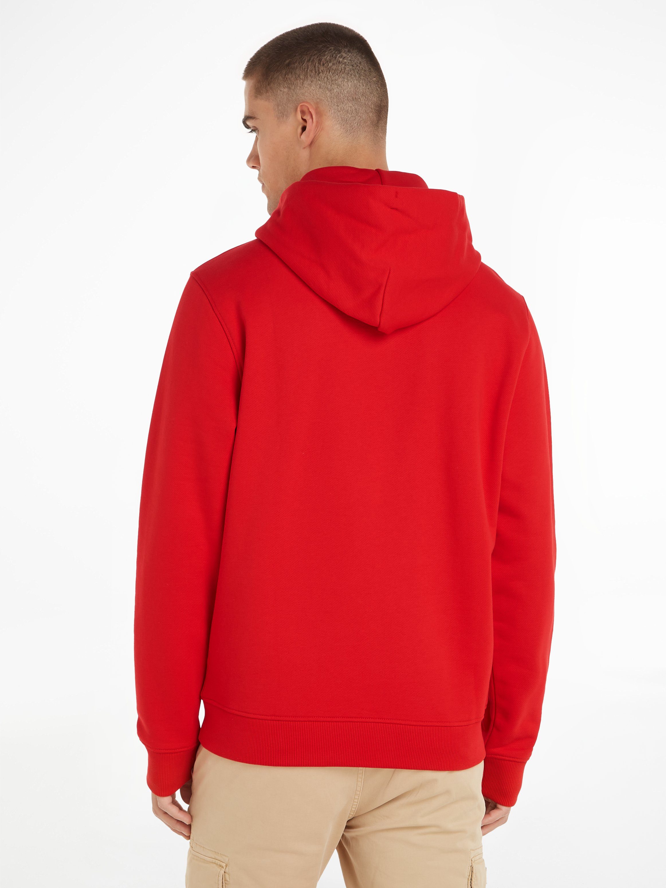 TOMMY JEANS Hoodie TJM REG BADGE HOODIE EXT