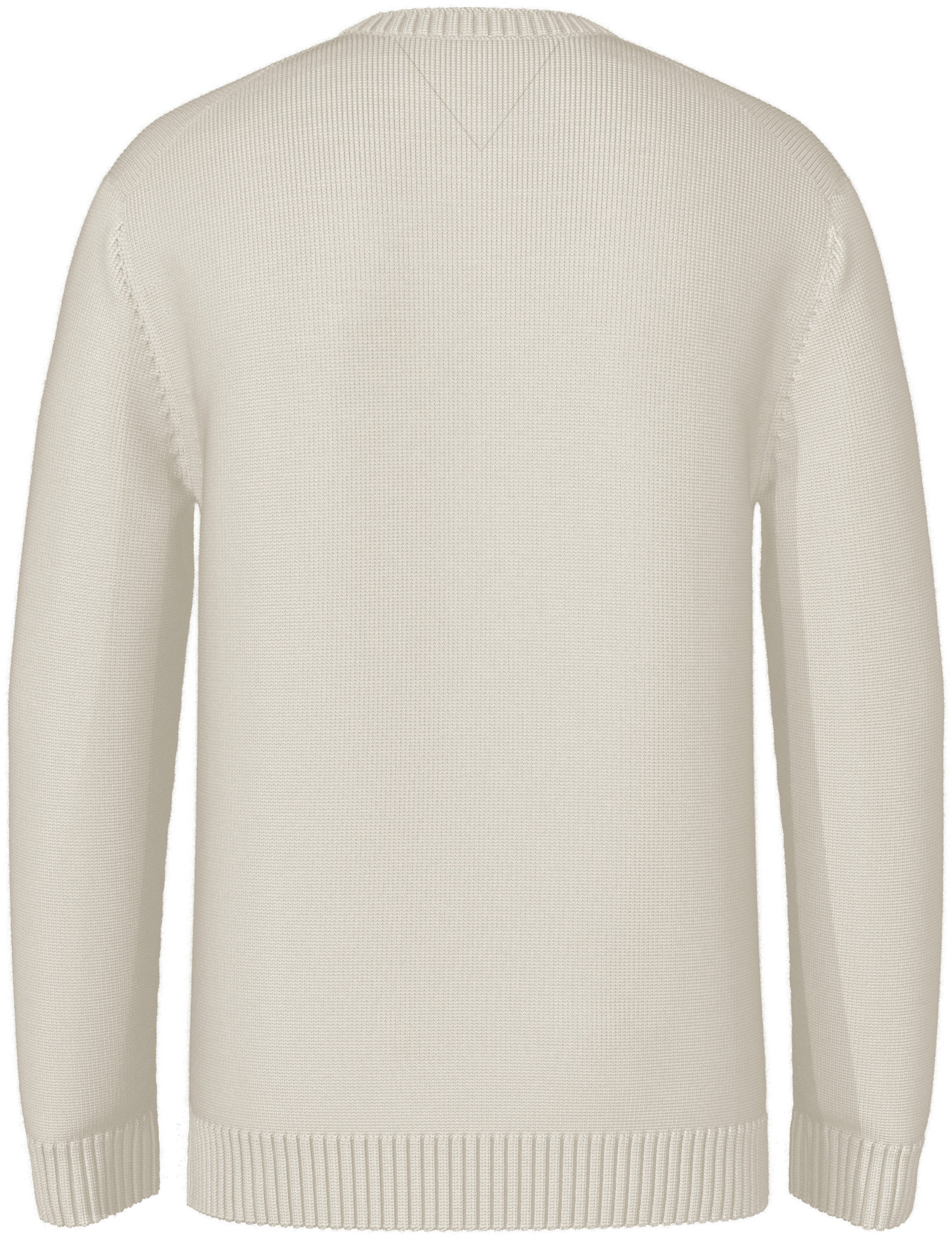 TOMMY JEANS Gebreide trui TJM SLIM ESSNTLS C-NECK SWEATER
