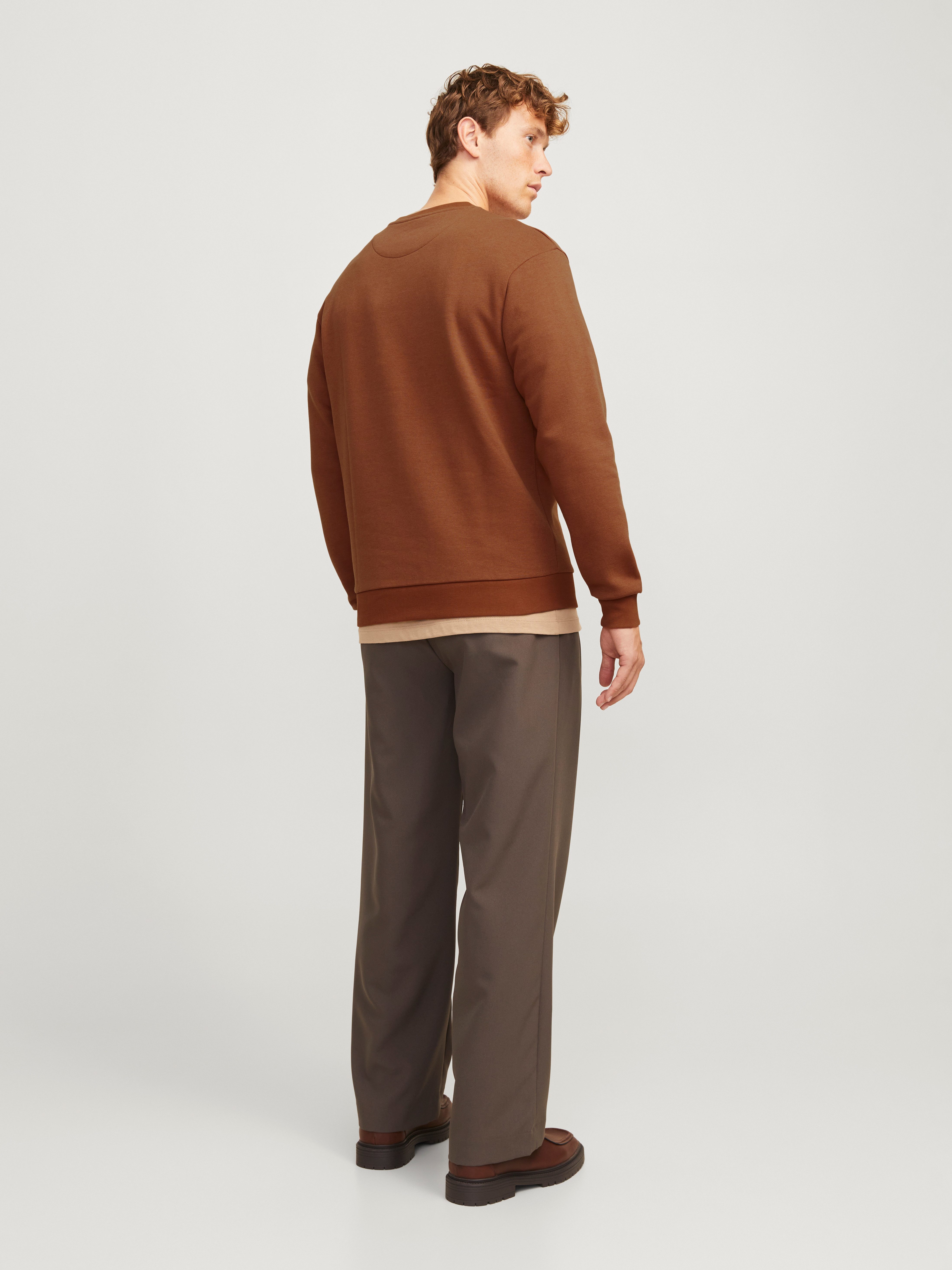 Jack & Jones Sweatshirt JJEBRADLEY SWEAT CREW NOOS