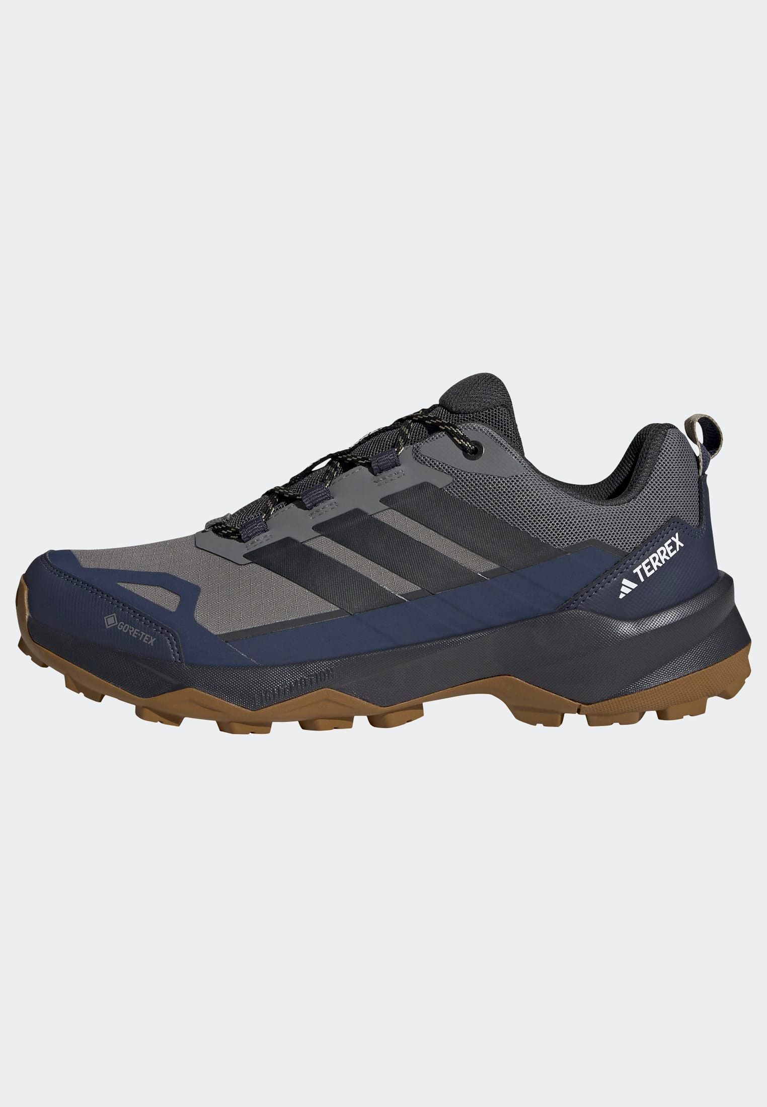 adidas TERREX Wandelschoenen TERREX SKYCHASER AX5 GORE-TEX E