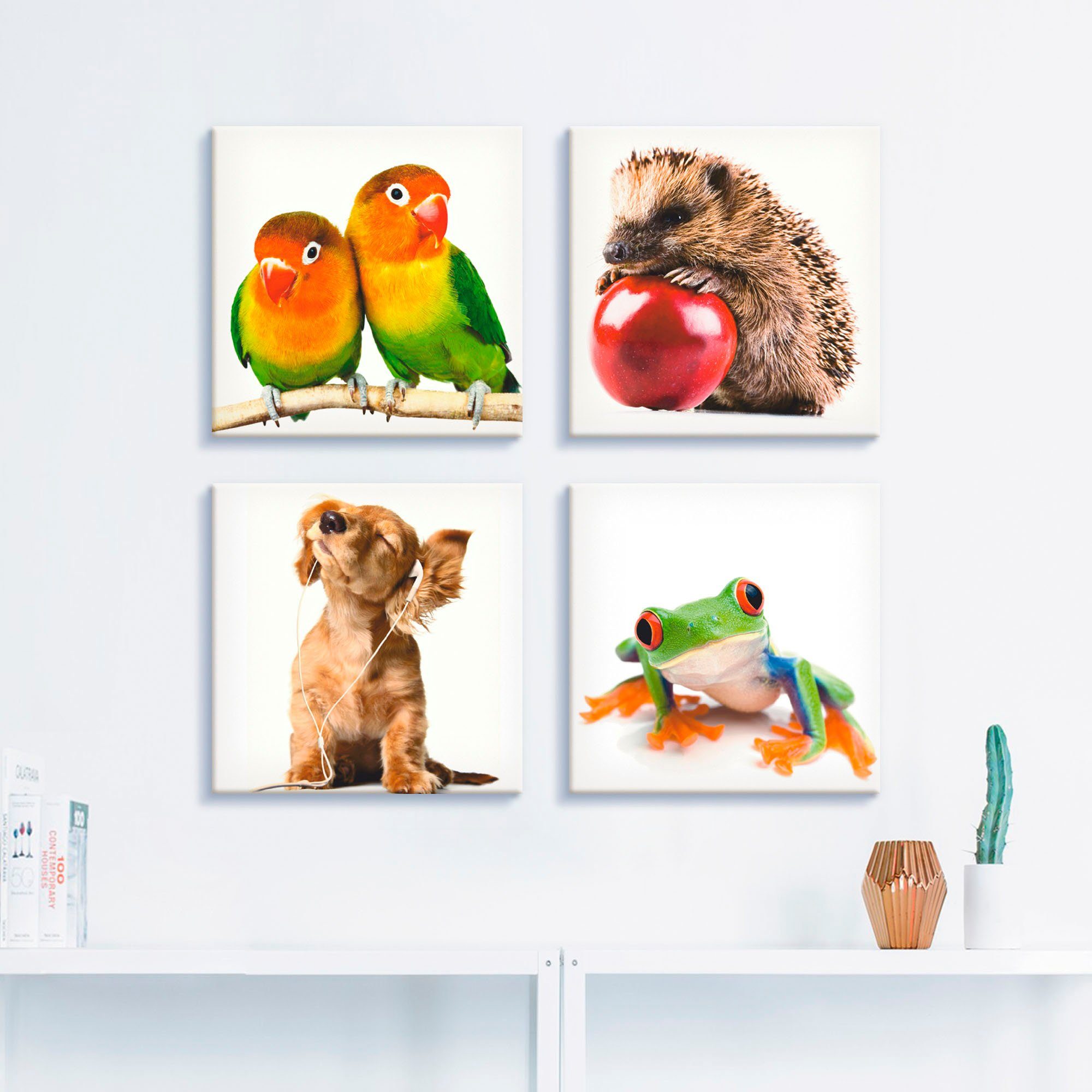 Artland Artprint op linnen Egel hond kikker set van 4, verschillende maten (4-delig)