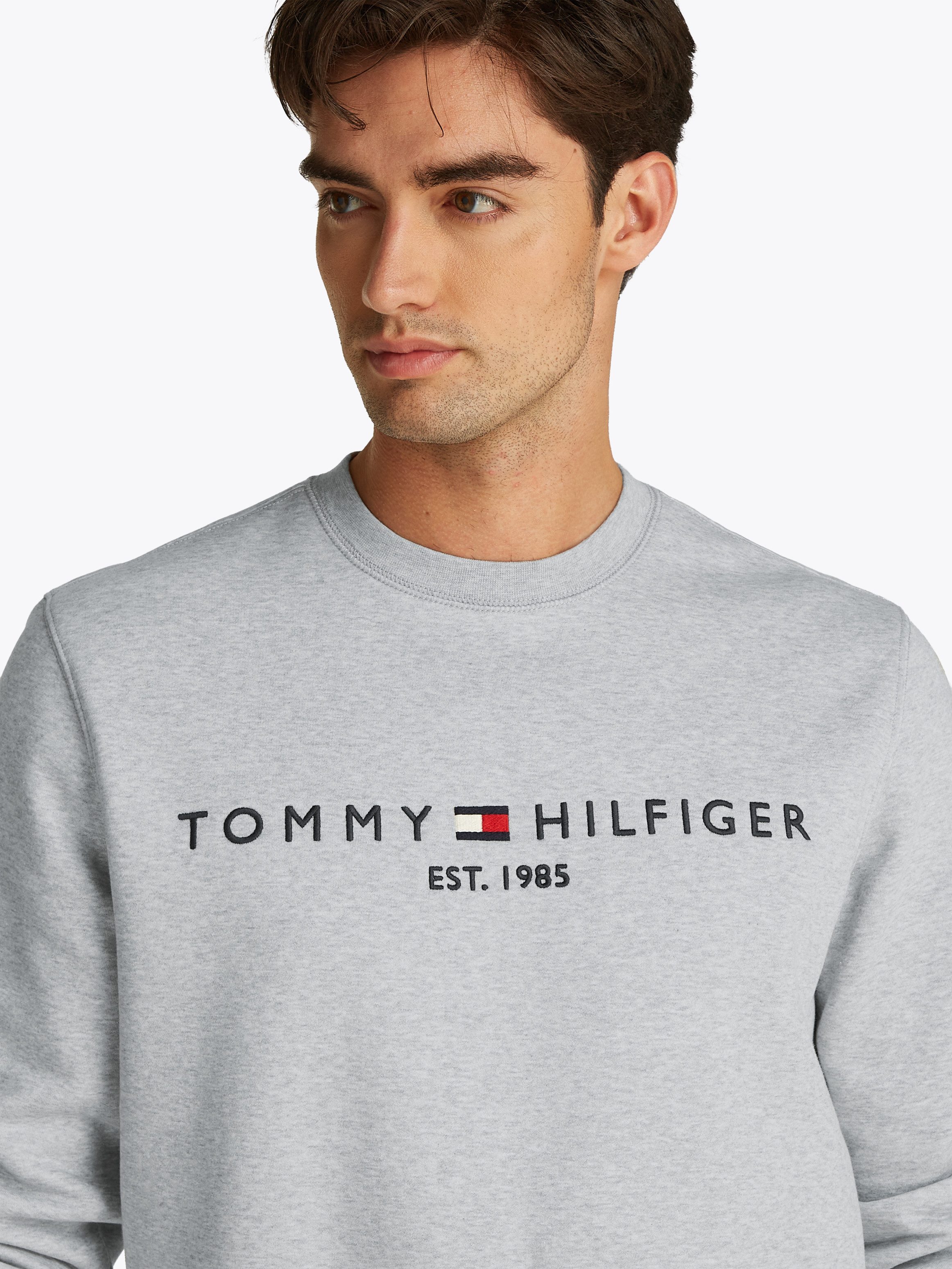 Tommy Hilfiger Sweatshirt TOMMY LOGO SWEATSHIRT met klassieke ronde hals