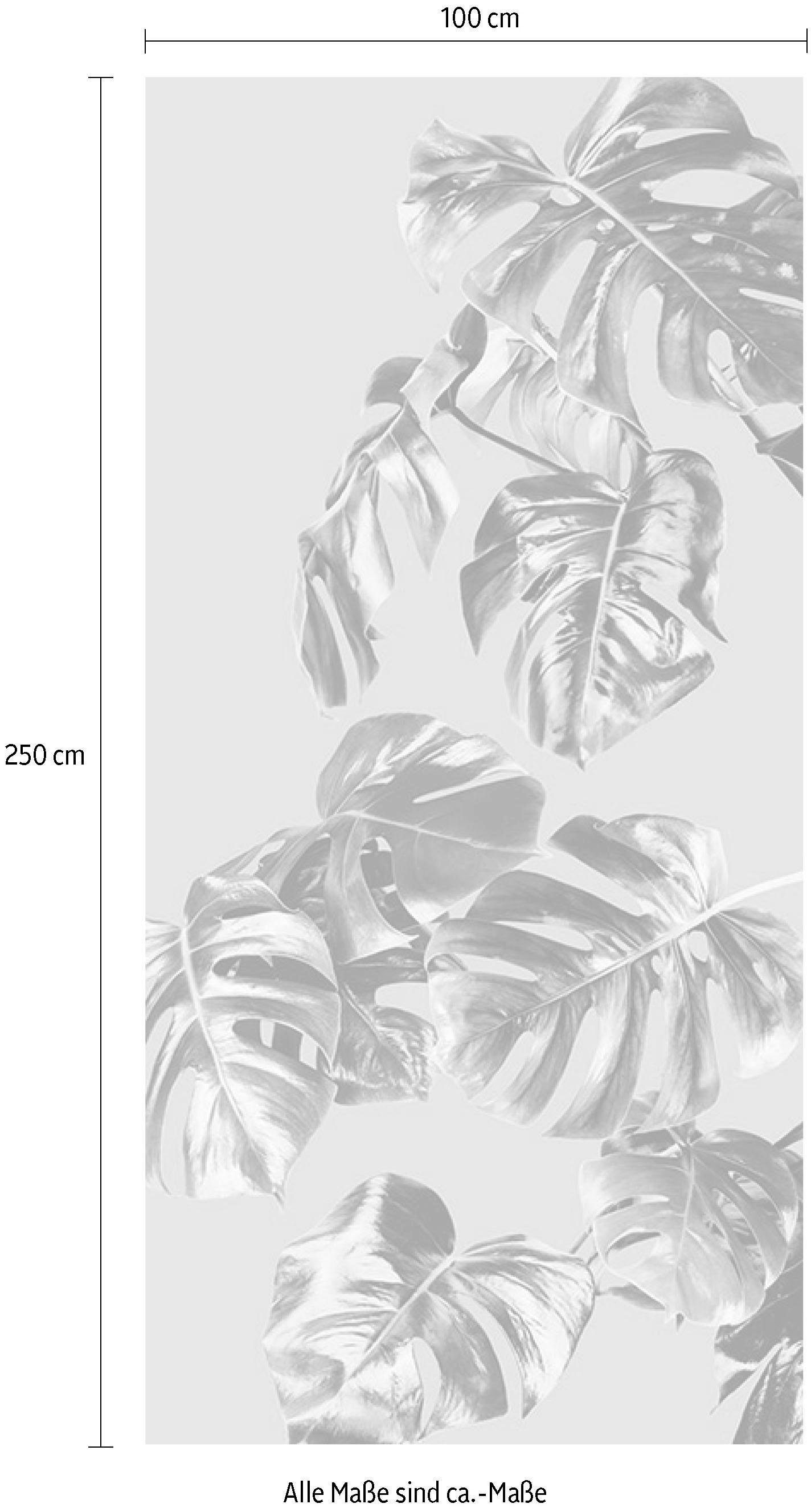 Komar Vliesbehang Digitale print vlies - Monstera Rosé Panel - Afmeting 100 x 250 cm (1 stuk)