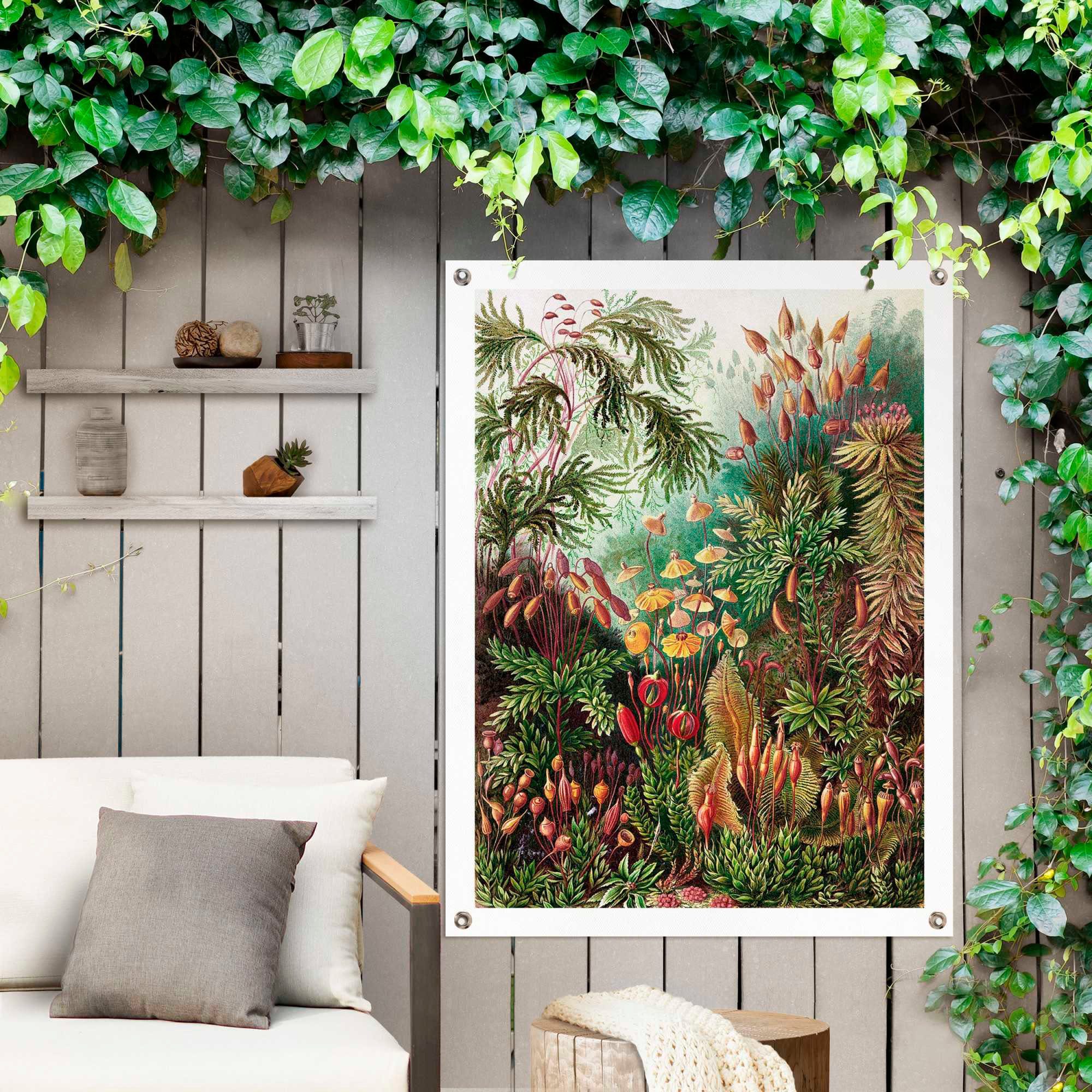 Reinders! Poster Sea Flora