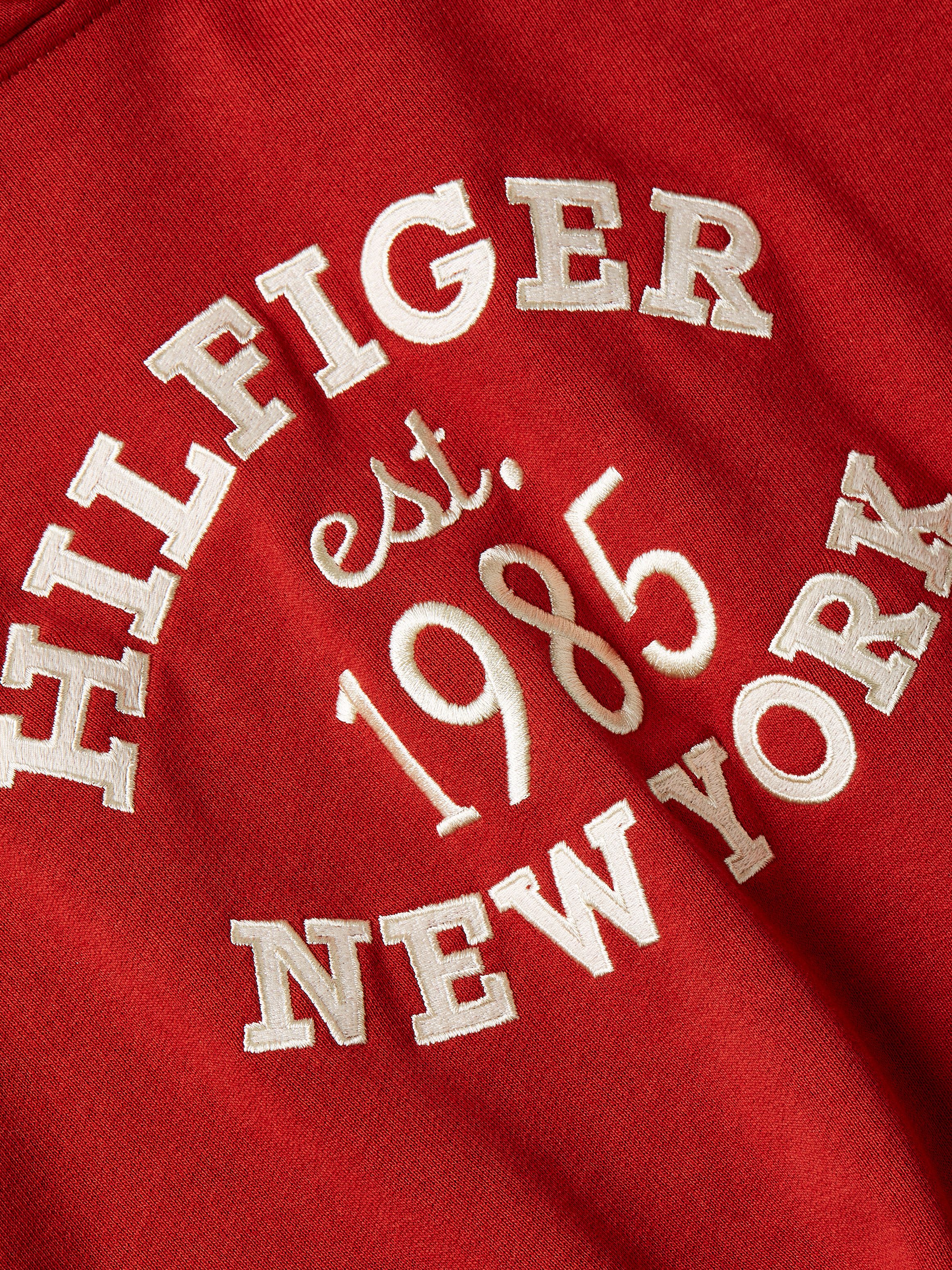 Tommy Hilfiger Hoodie MDRN REG VARSITY HOODIE