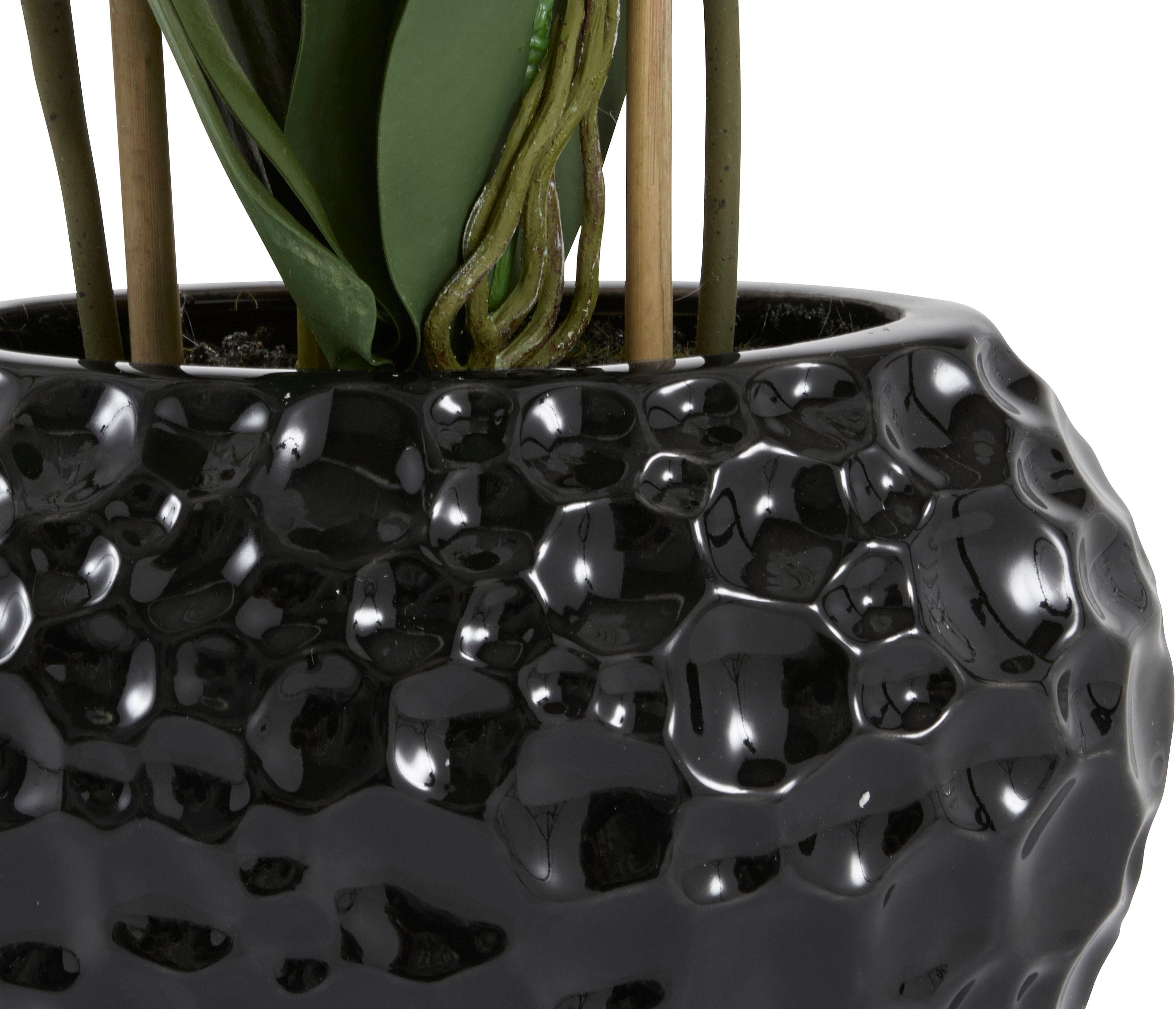 Leonique Kunstplant Orchidee Kunstorchidee, in pot, bestseller, meer dan 2500 4,5-sterren beoordelingen (1 stuk)