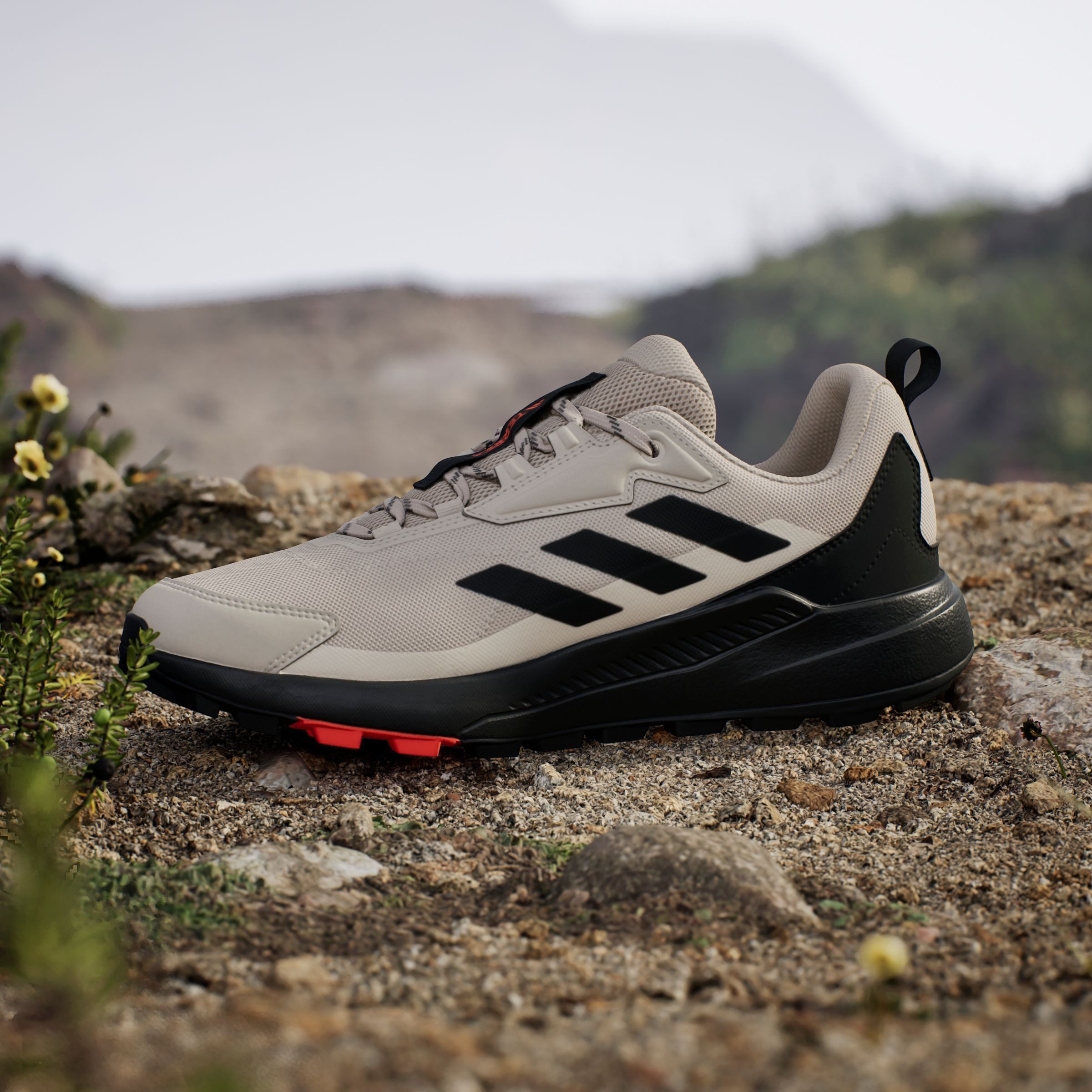 adidas TERREX Wandelschoenen TERREX ANYLANDER