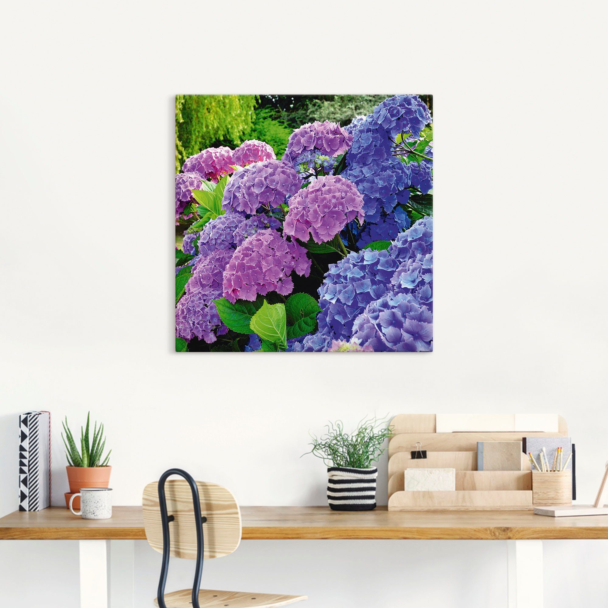 Artland Artprint Hortensia's in de tuin als artprint van aluminium, artprint voor buiten, artprint op linnen, poster, muursticker