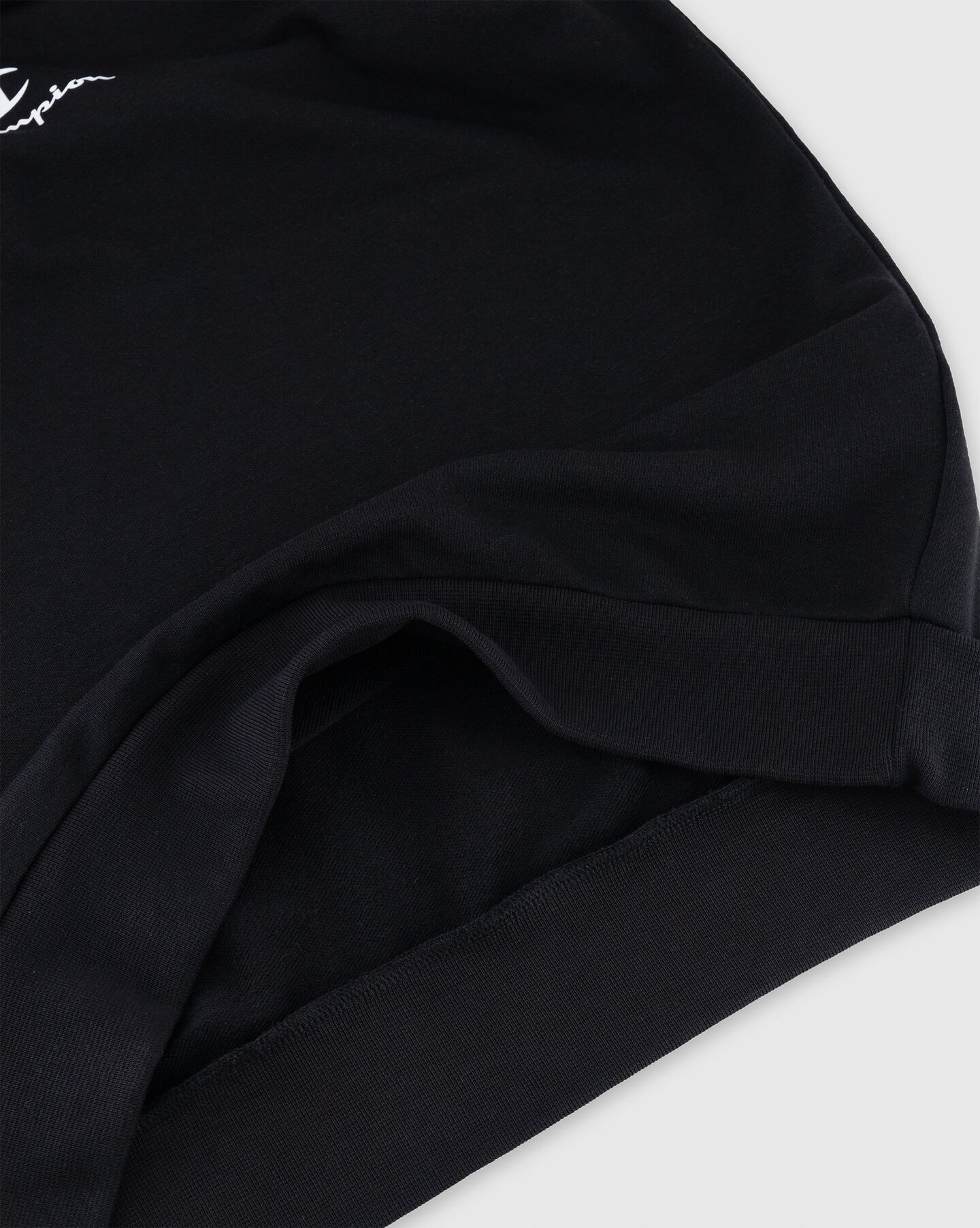 Champion Sweatshirt