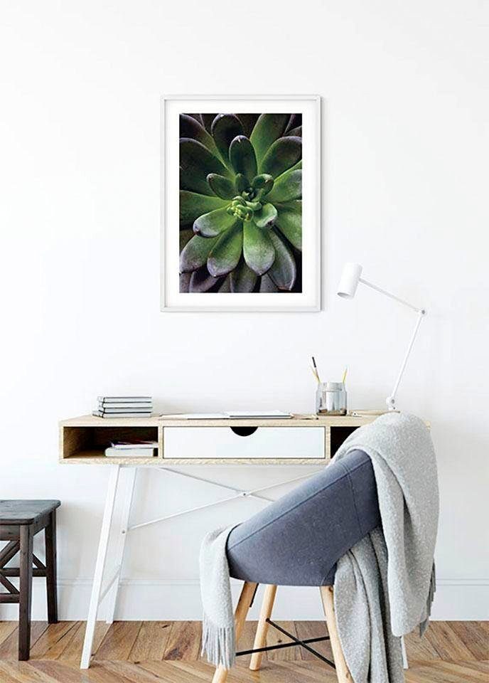 Komar Wanddecoratie Succulent single Wanddecoratie - zonder lijst (1 stuk)