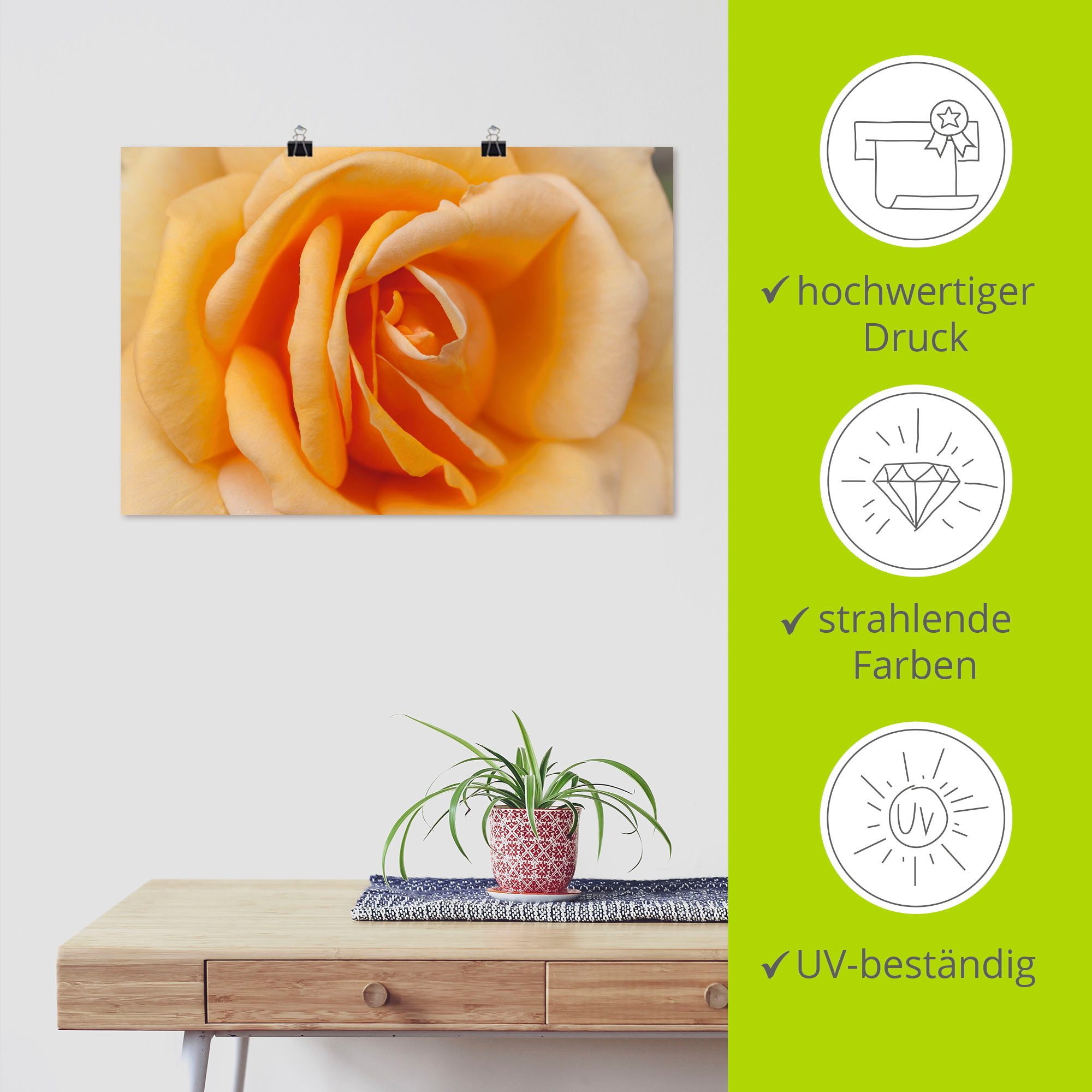 Artland Artprint Fijne roos in oranje als artprint op linnen, poster in verschillende formaten maten