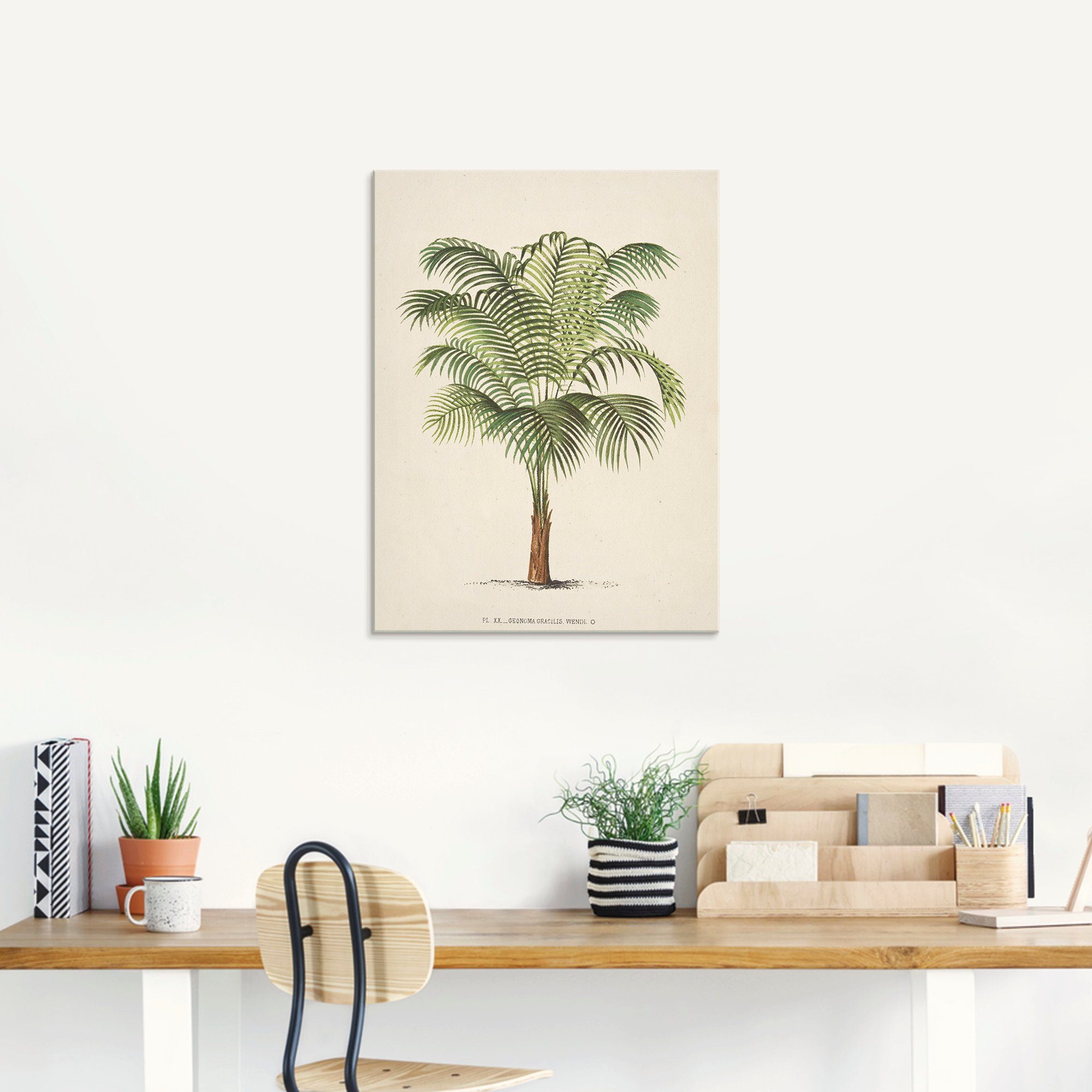 Artland Print op glas Palm II in verschillende maten