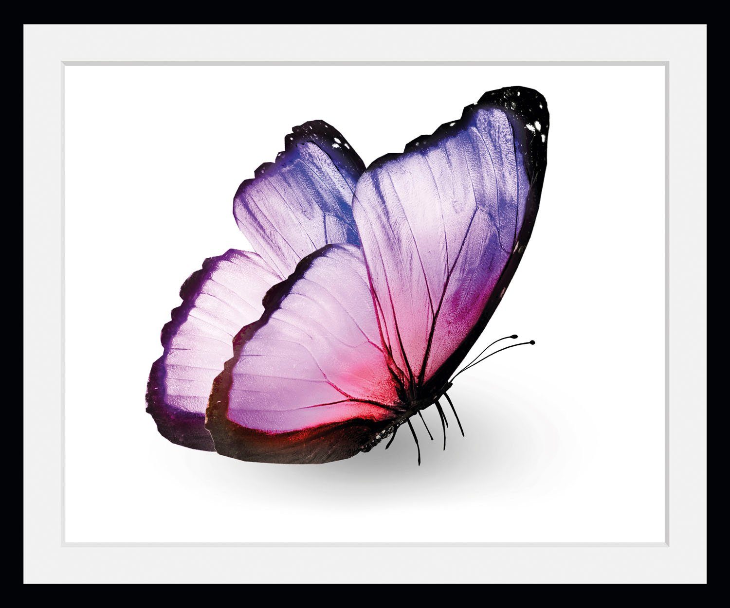 queence Wanddecoratie Alex HD premium posterdruk incl. houten lijst (1 stuk)