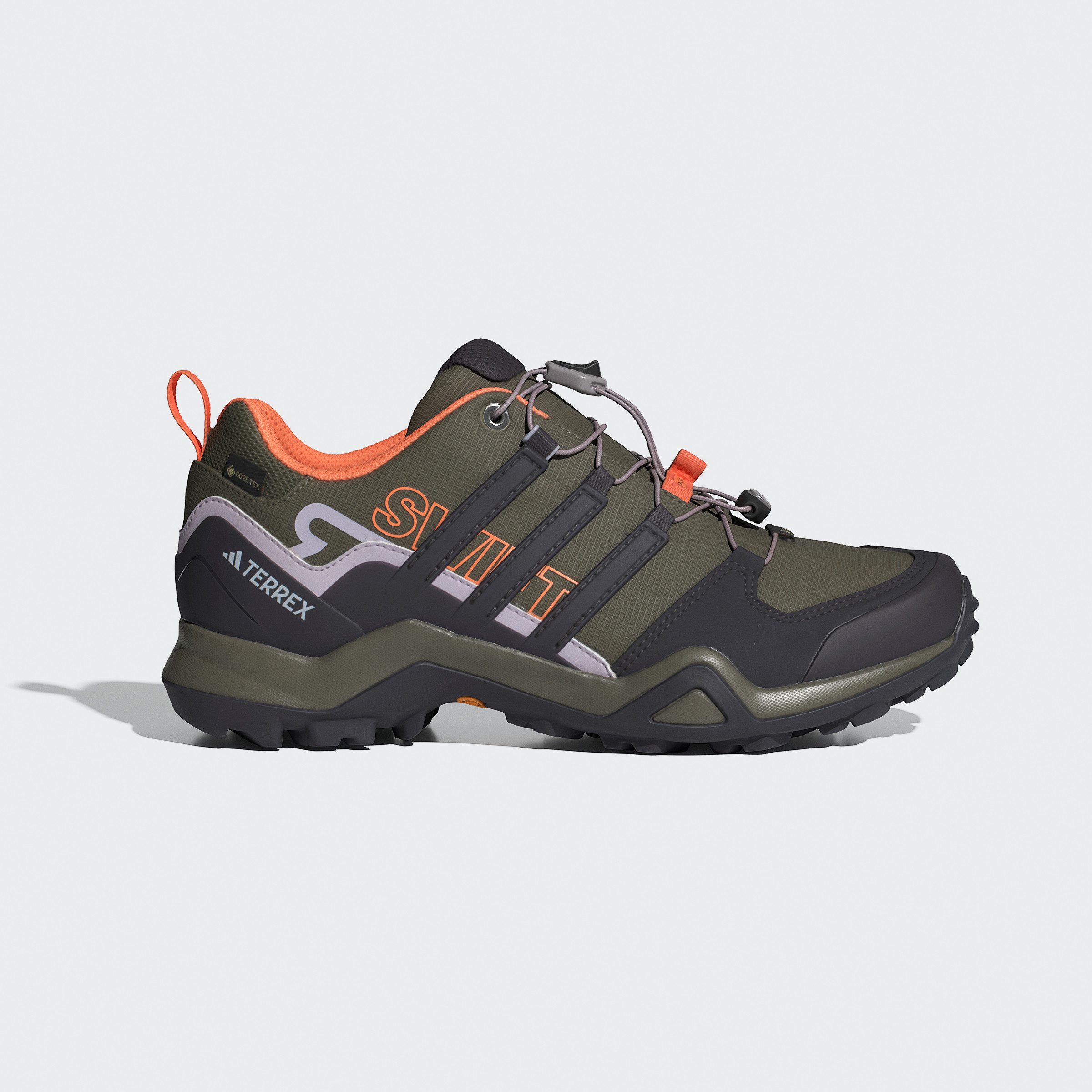 adidas TERREX Wandelschoenen TERREX SWIFT R2 GORE-TEX