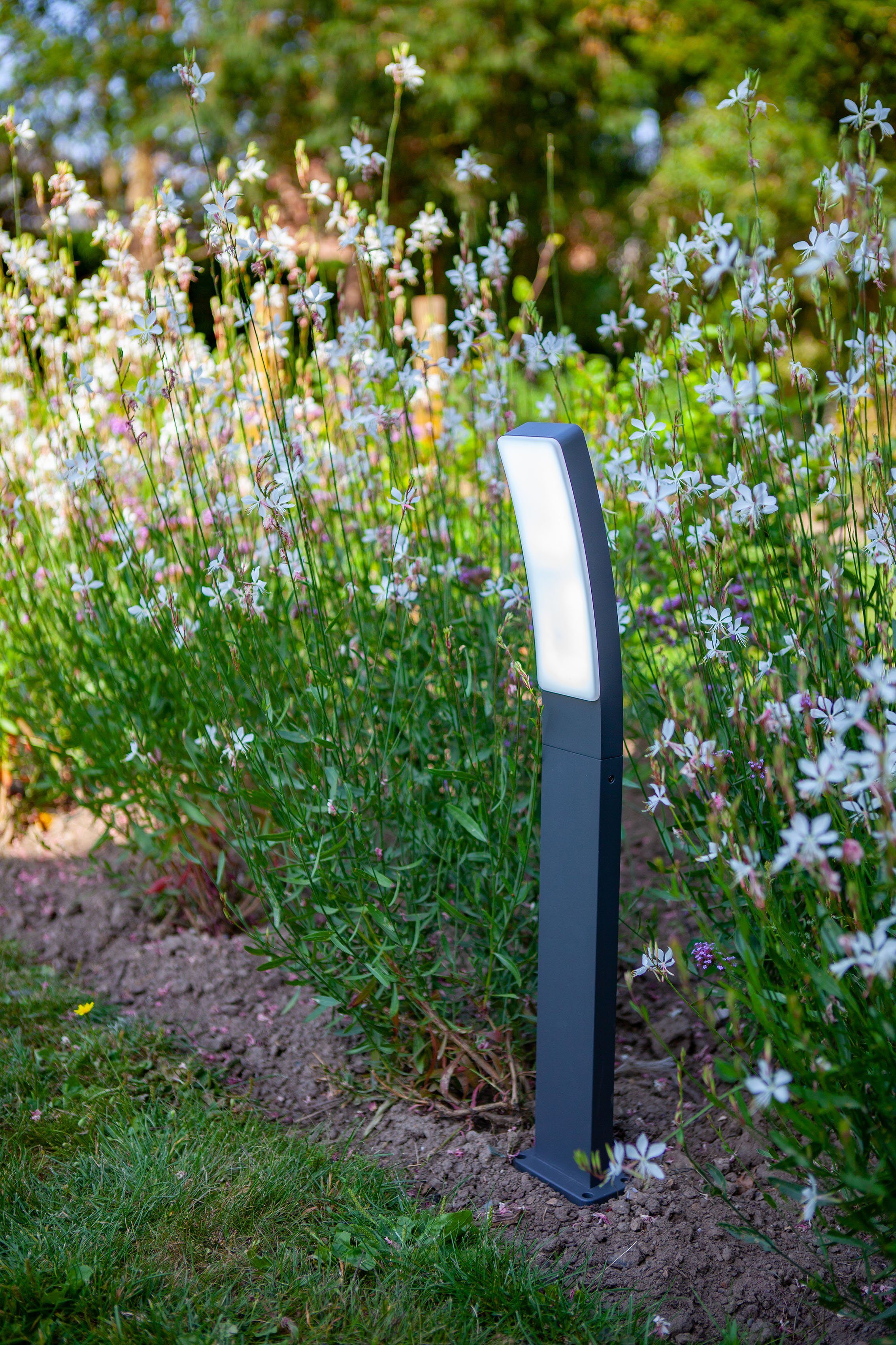 LUTEC Ledwandlamp voor buiten Kira (1 stuk)