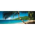 papermoon fotobehang palm beach panorama vlies, 2 banen, 350 x 100 cm (2 stuks) multicolor