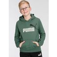 puma hoodie ess+ 2 col big logo hoodie fl b groen