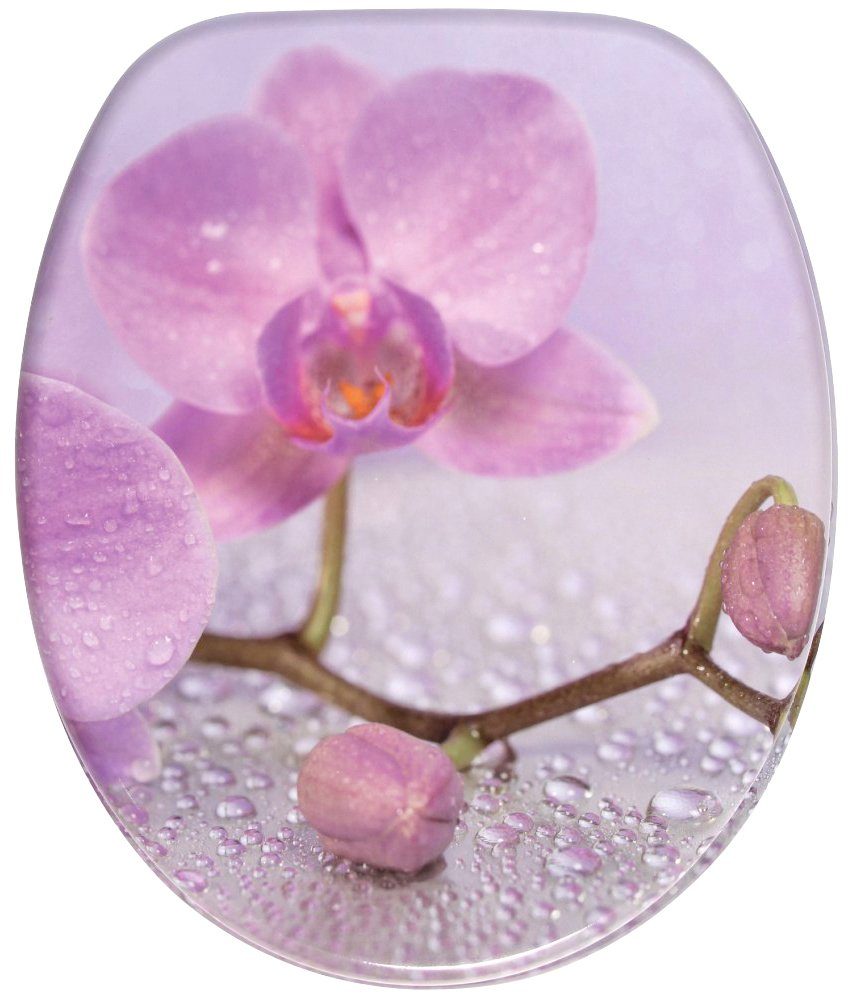 Sanilo Toiletzitting Blooming