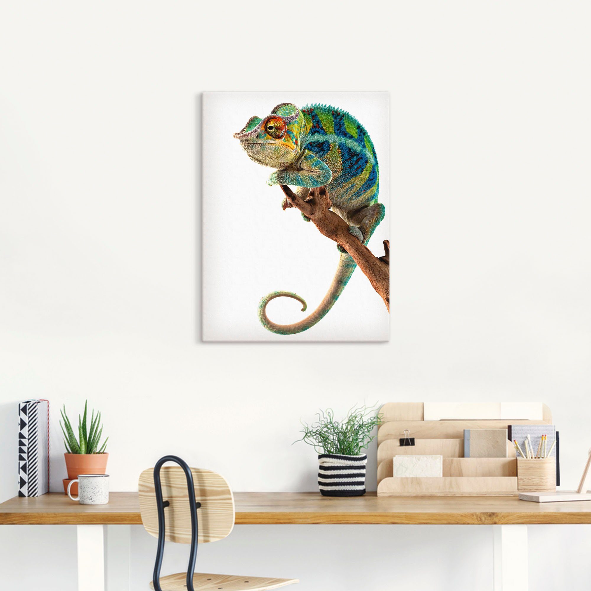 Artland Artprint Ambanja panter kameleon als artprint op linnen, poster in verschillende formaten maten