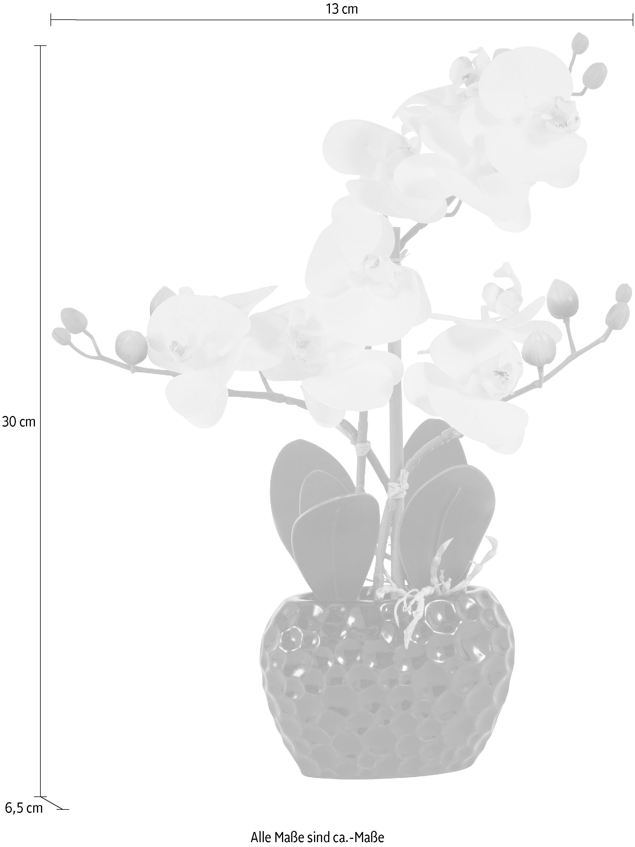 Leonique Kunstplant Orchidee Kunstorchidee, in pot, bestseller, meer dan 2500 4,5-sterren beoordelingen (1 stuk)