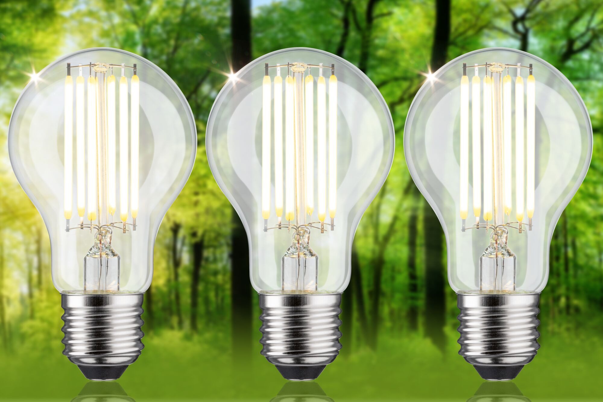 Paulmann Led-verlichting Eco-Line filament 230V LED lamp E27 3-pack 1055lm 5W 3000K helder (3 stuks)