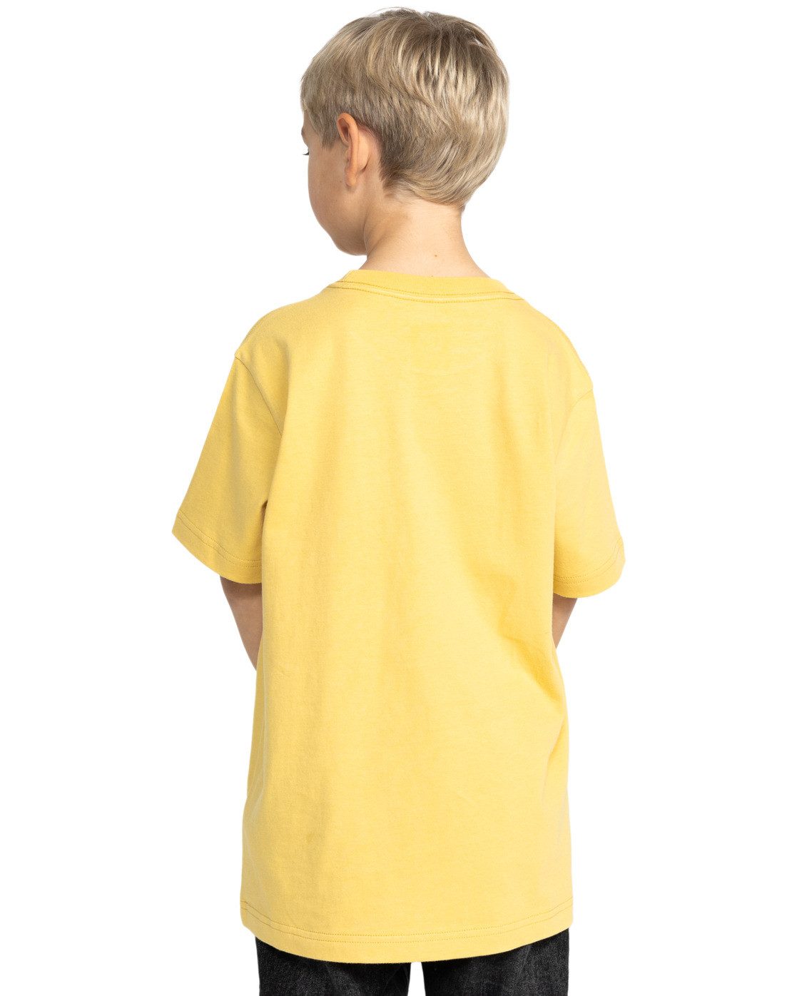 DC Shoes T-shirt DC Star