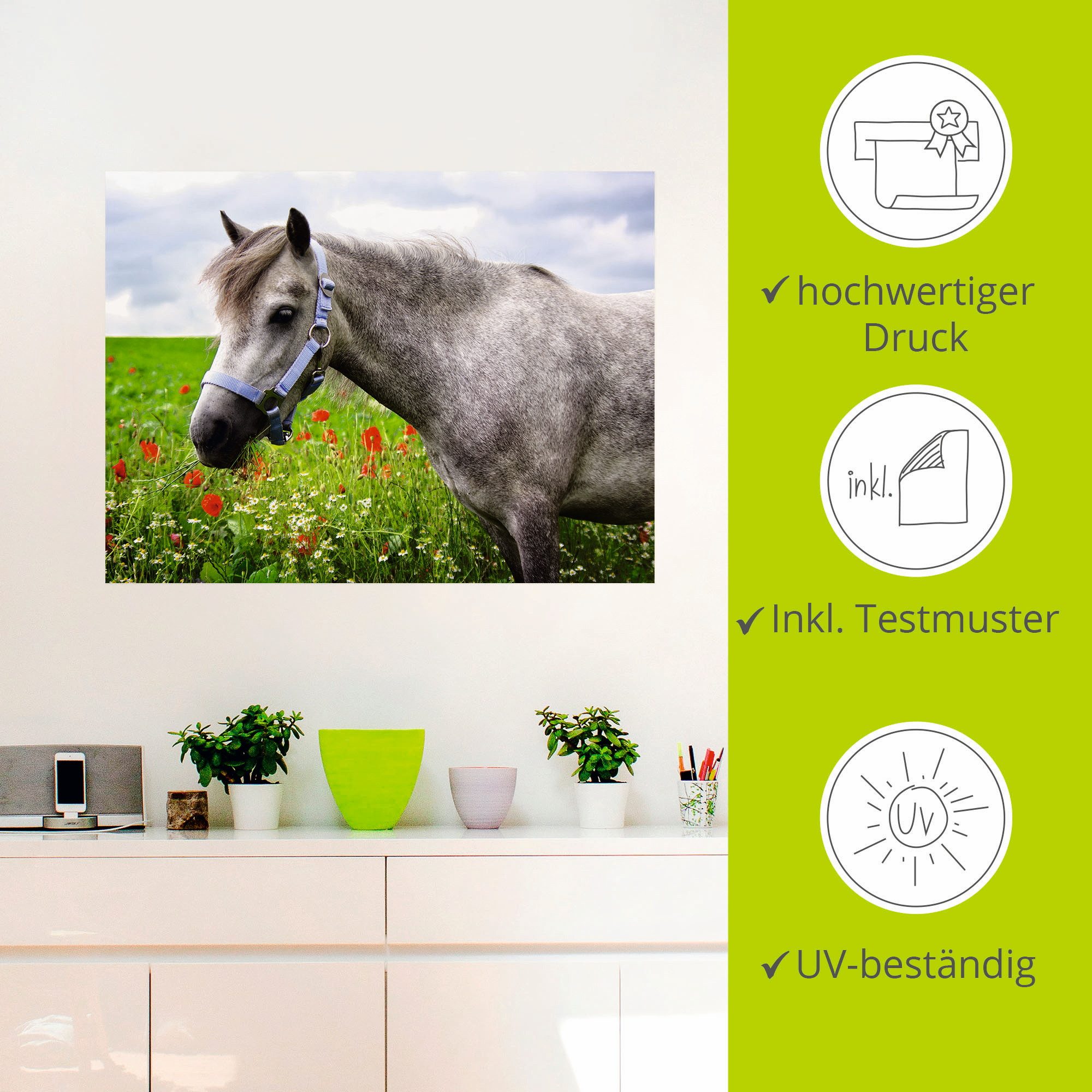 Artland Artprint Welshpony als artprint op linnen, muursticker in verschillende maten