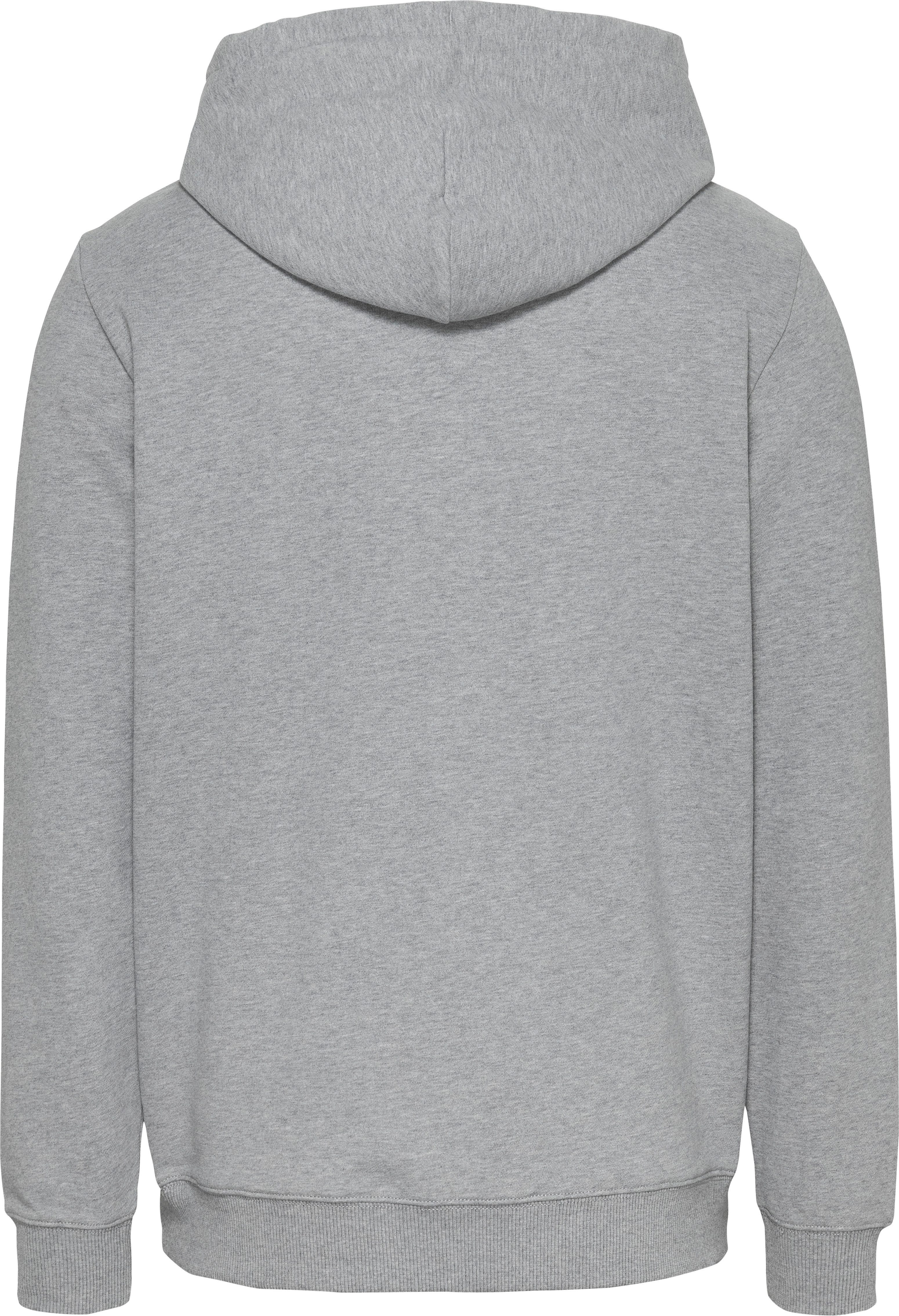 TOMMY JEANS Hoodie TJM REG ENTRY GRAPHIC HOODIE EXT