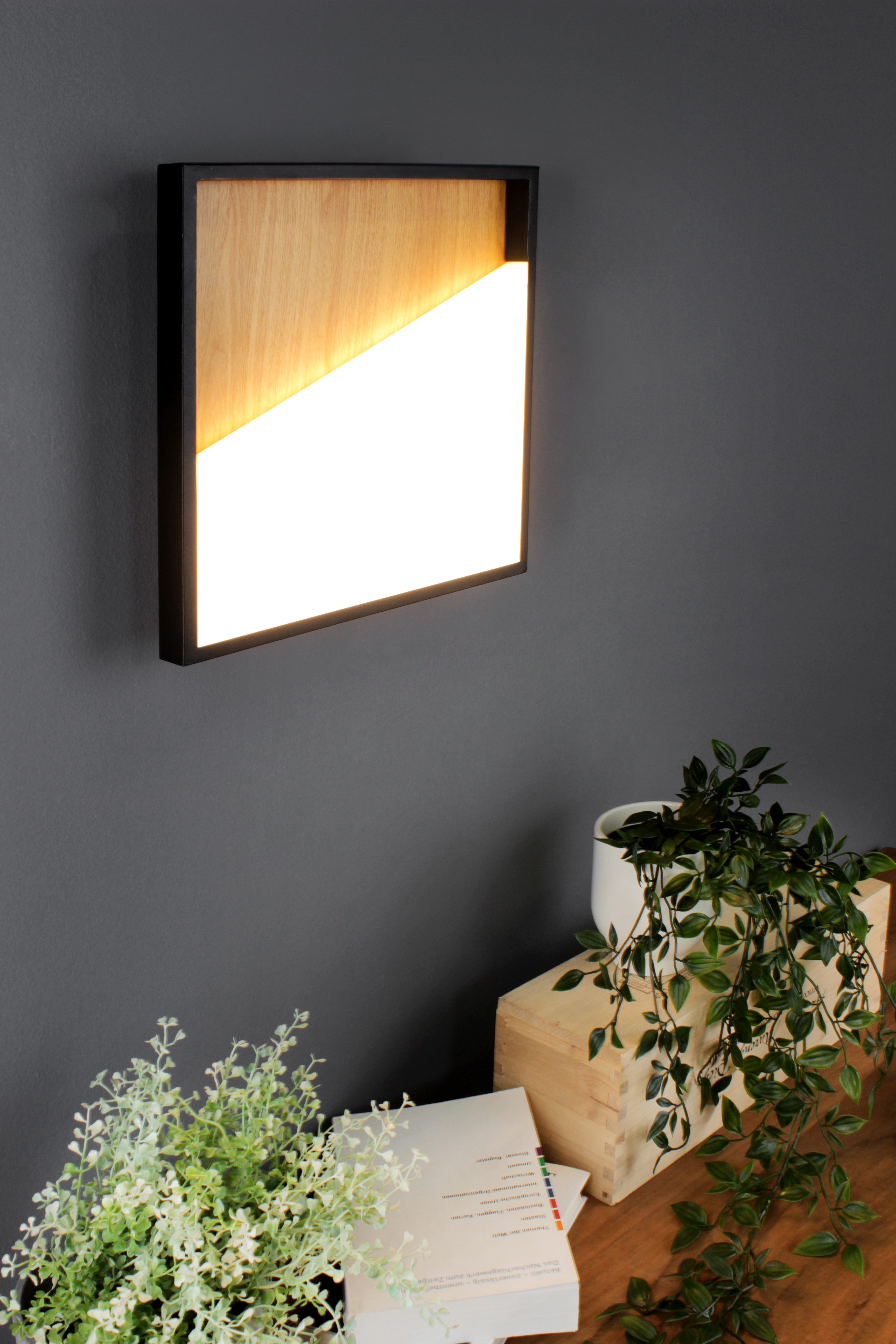 ECO-LIGHT Led-plafondlamp VISTA,40x40