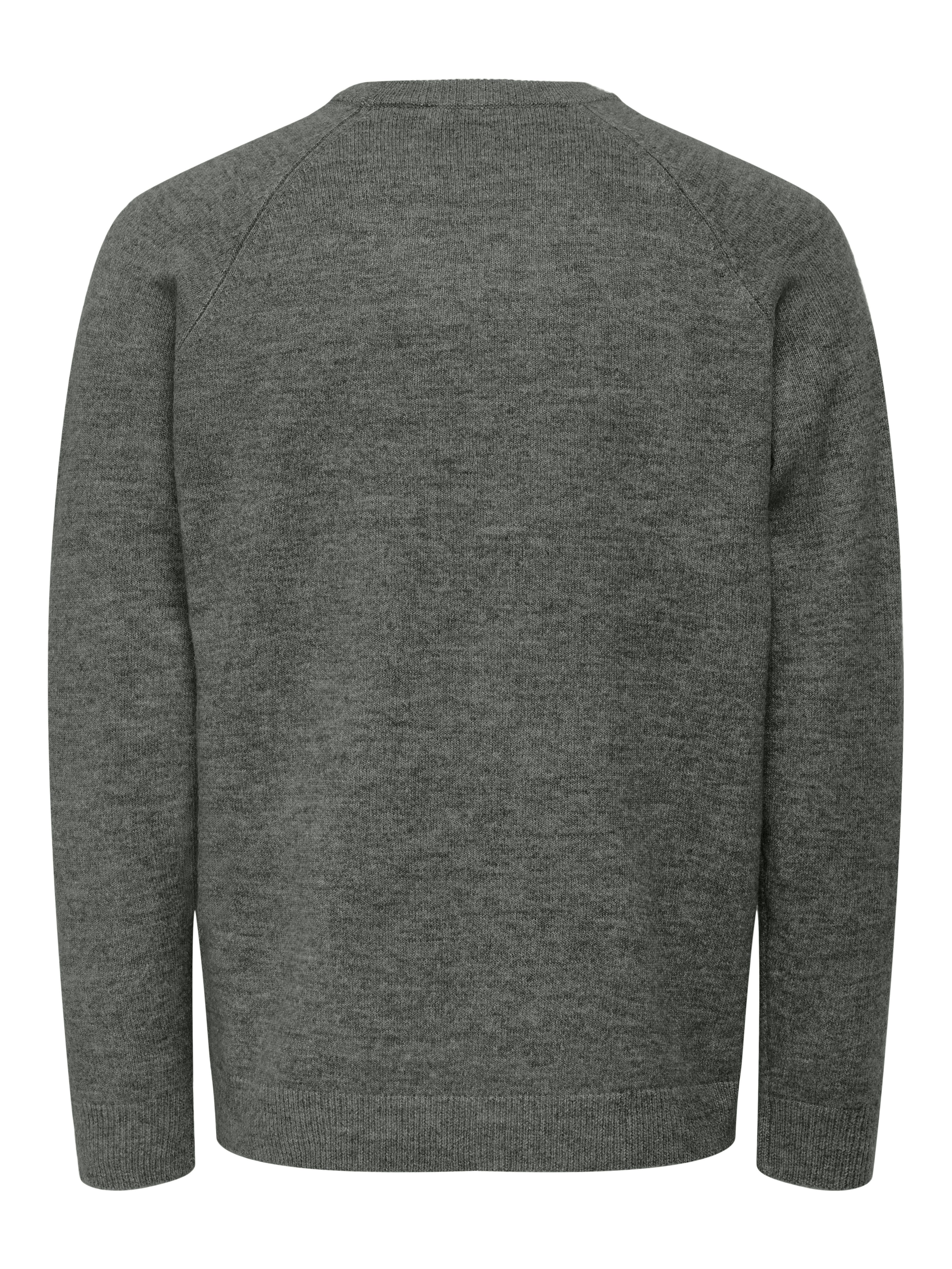 ONLY & SONS Trui met ronde hals ONSTHOMAS REG CREW NECK KNIT - OTL