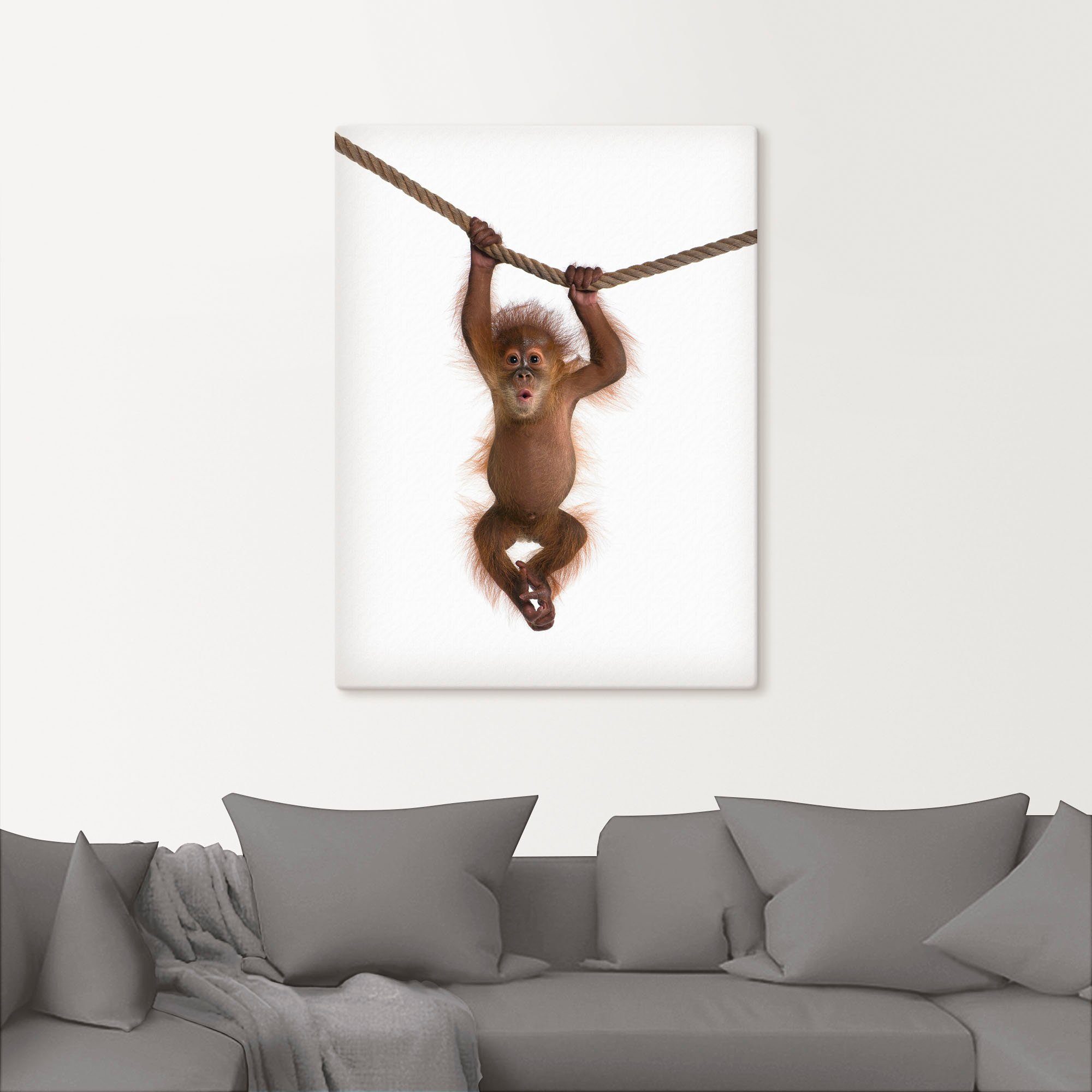 Artland Artprint Baby orang oetan hangt aan het touw II als artprint van aluminium, artprint voor buiten, artprint op linnen, poster, muursticker
