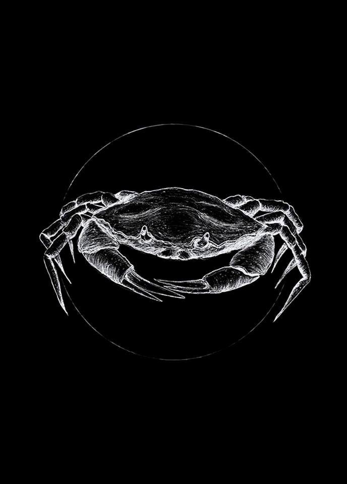 Komar Wanddecoratie Crab black Wanddecoratie - zonder lijst (1 stuk)
