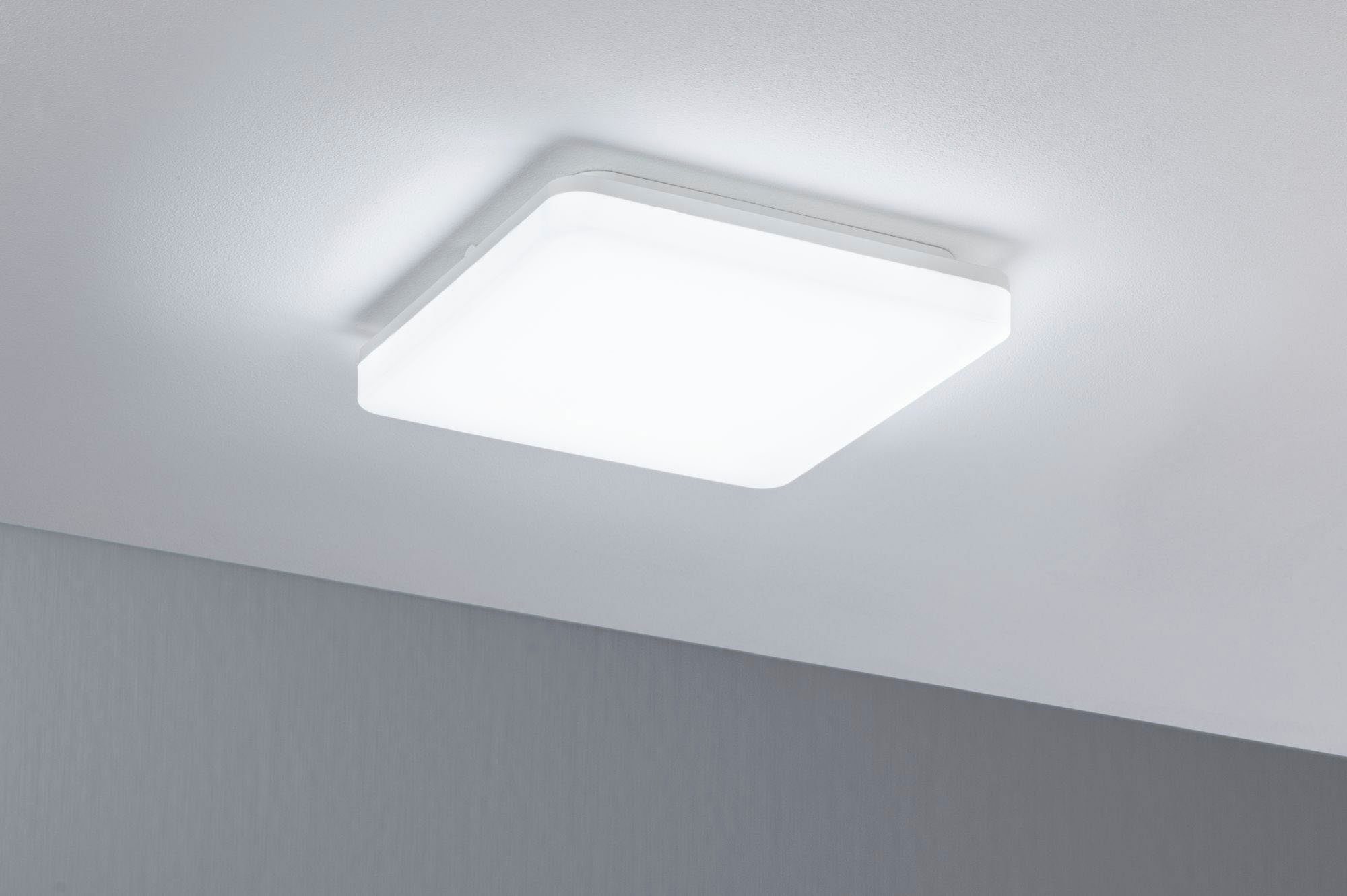 Paulmann Led-plafondlamp Cela (1 stuk)