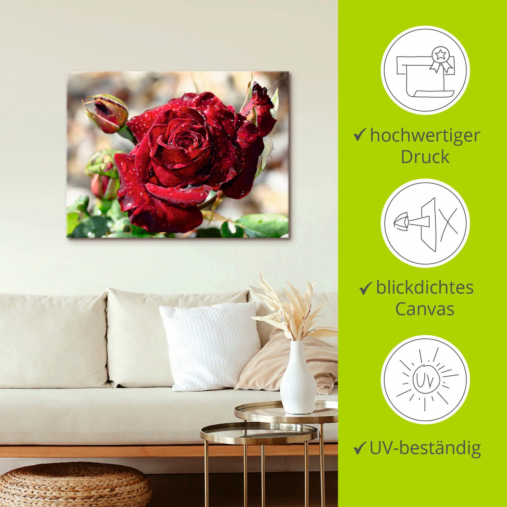 Artland Artprint Roos met druppels als artprint op linnen, poster, muursticker in verschillende maten