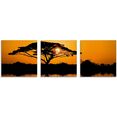 artland print op glas acaciaboom bij zonsopkomst (3 stuks) oranje