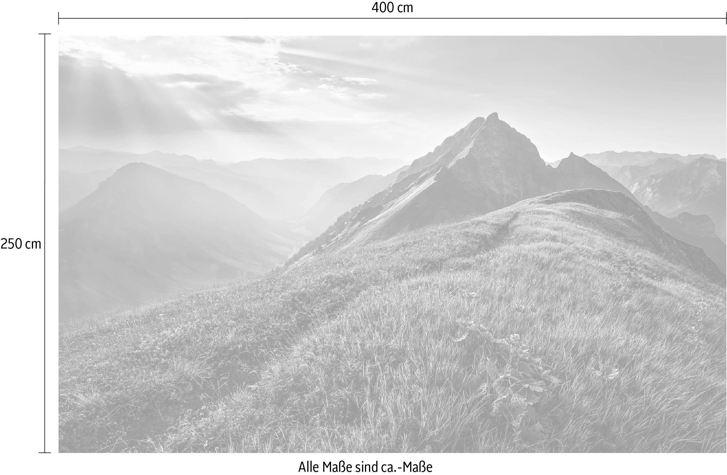 Komar Vliesbehang Digitale print vlies - Green Vein - Afmeting 400 x 250 cm (1 stuk)