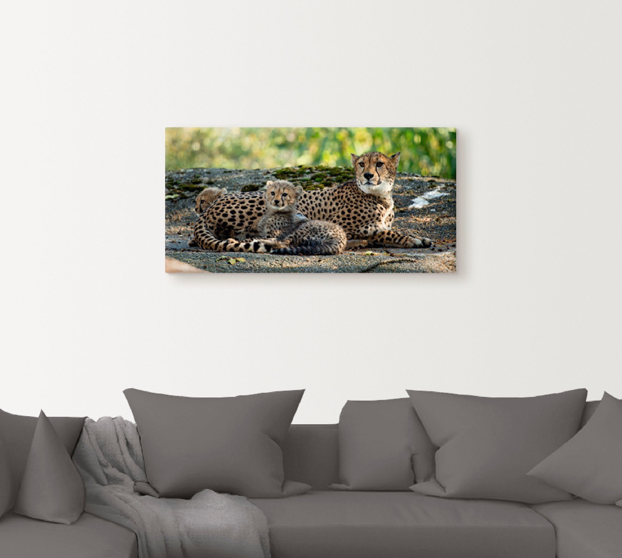 Artland Artprint Jachtluipaard 2 als artprint op linnen, poster, muursticker in verschillende maten